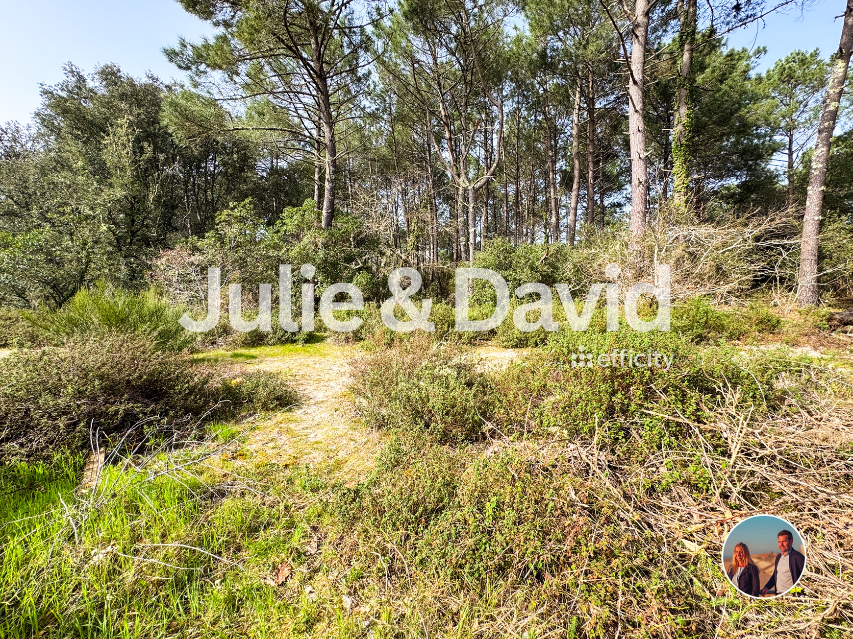 Achat immobilier Maison 5 pièces  108m2 à Lacanau (33680) - Photo n°15