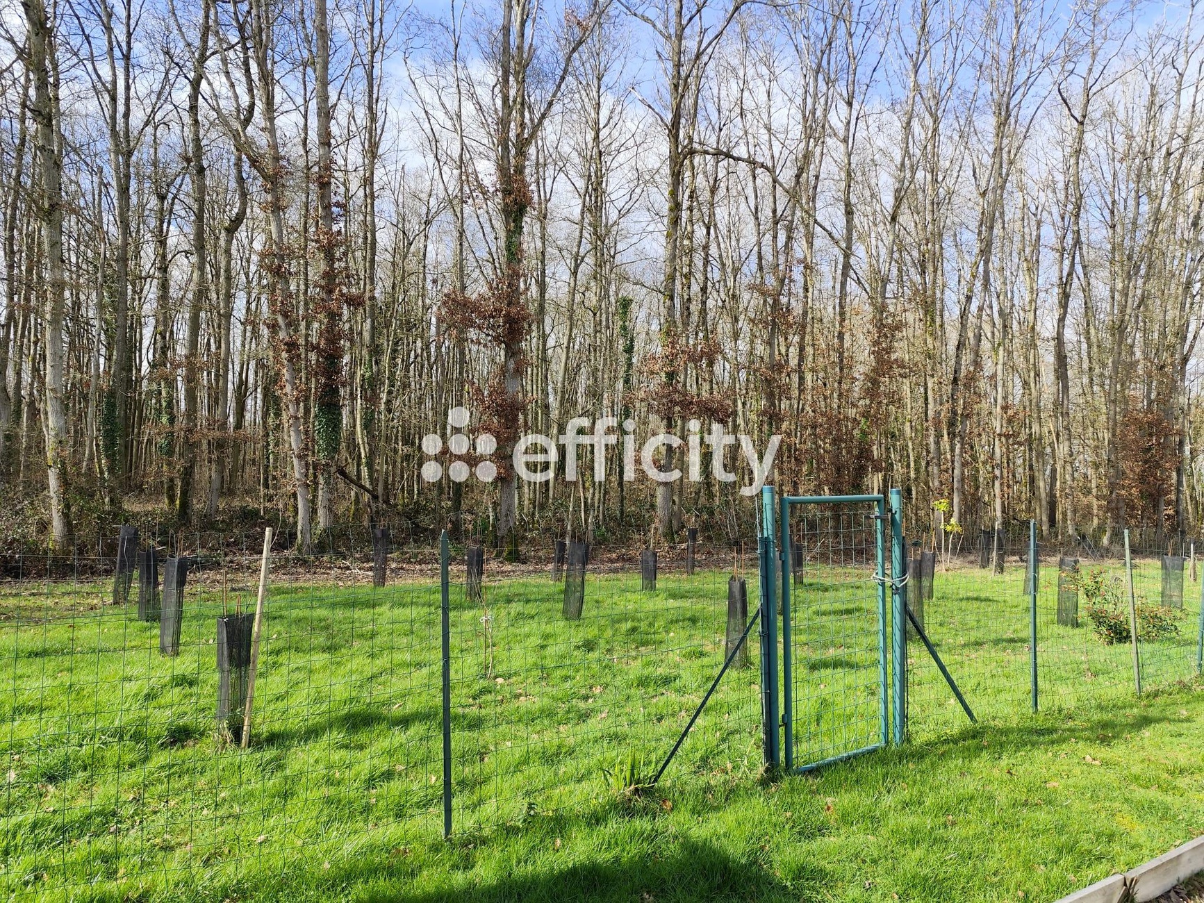 Achat immobilier Maison 5 pièces  112m2 à Le Gué-de-Longroi (28700) - Photo n°5