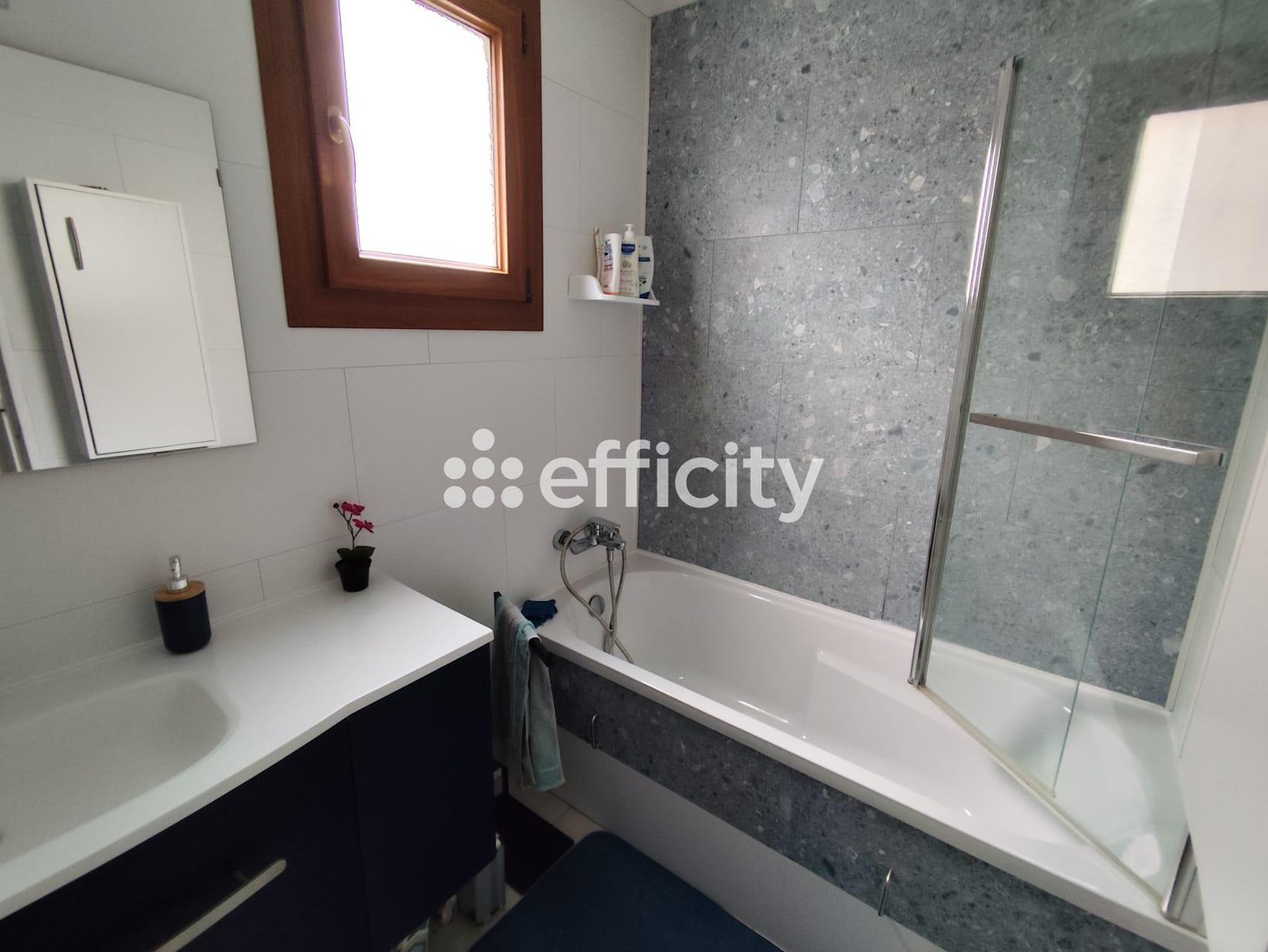 Achat immobilier Maison 5 pièces  112m2 à Le Gué-de-Longroi (28700) - Photo n°26