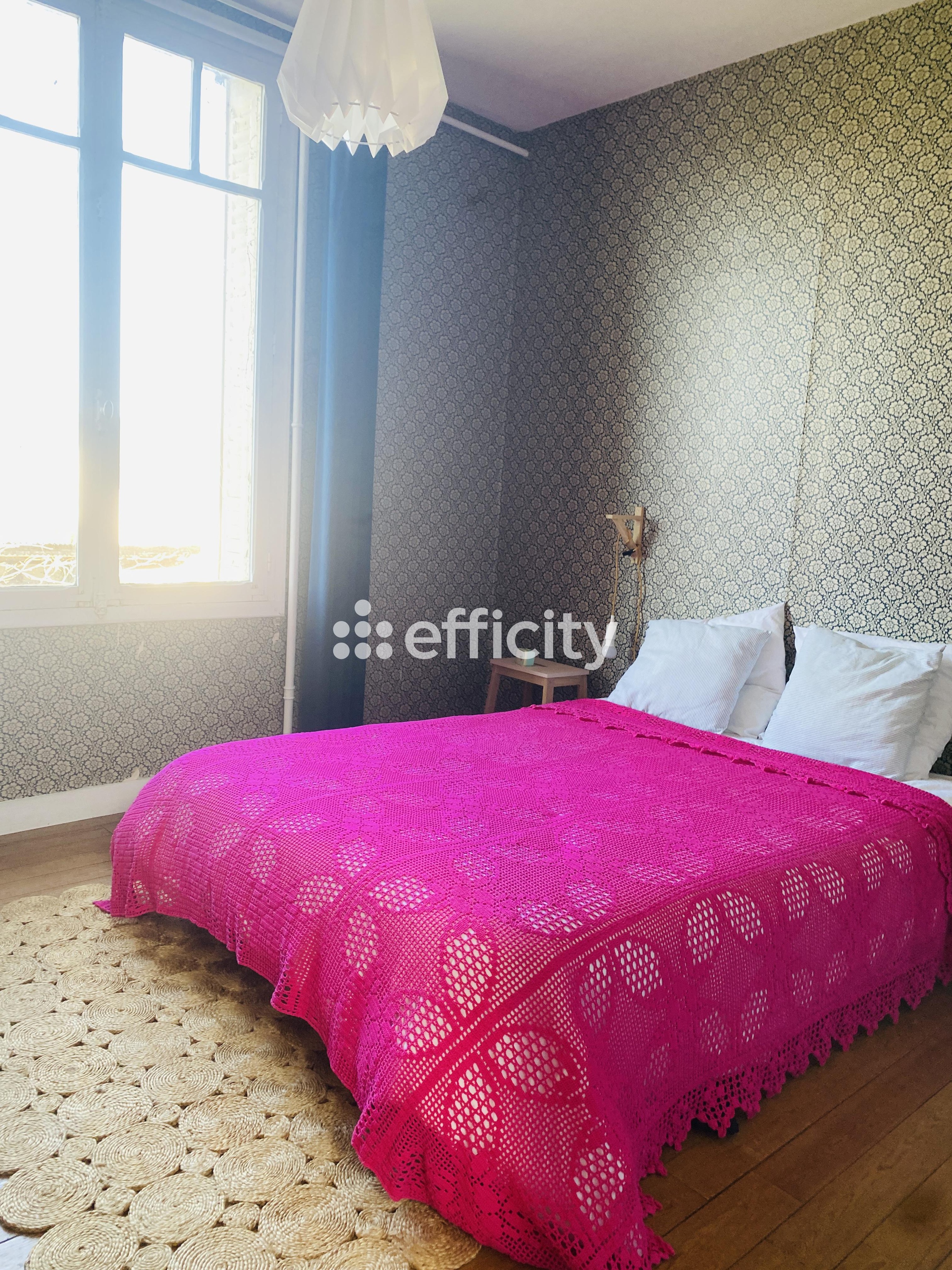 Achat immobilier Maison 10 pièces  246m2 à Savigny-sur-Braye (41360) - Photo n°12