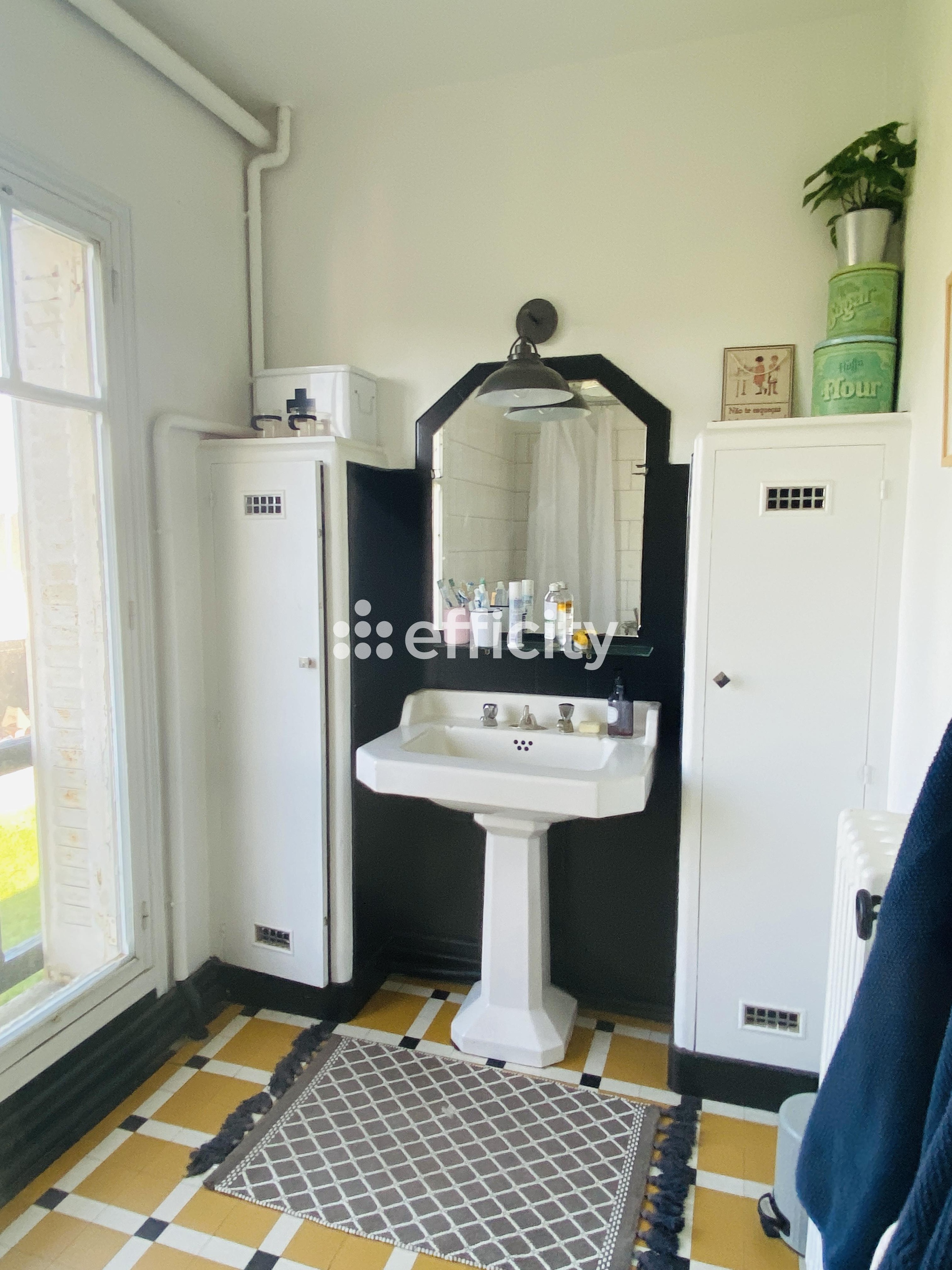 Achat immobilier Maison 10 pièces  246m2 à Savigny-sur-Braye (41360) - Photo n°21