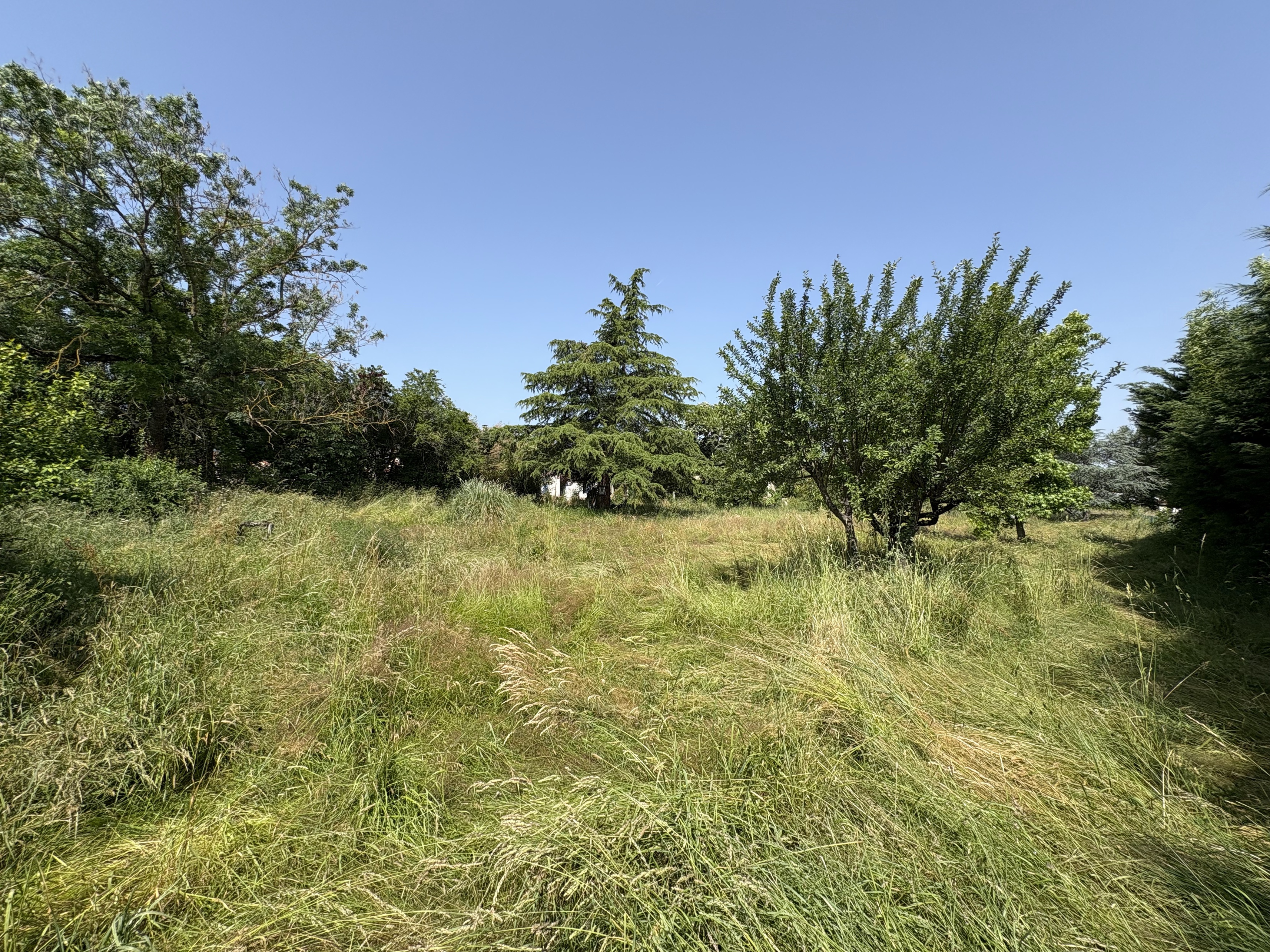 Achat immobilier Terrain   2591m2 à Saint-Romain-le-Puy (42610) - Photo n°4