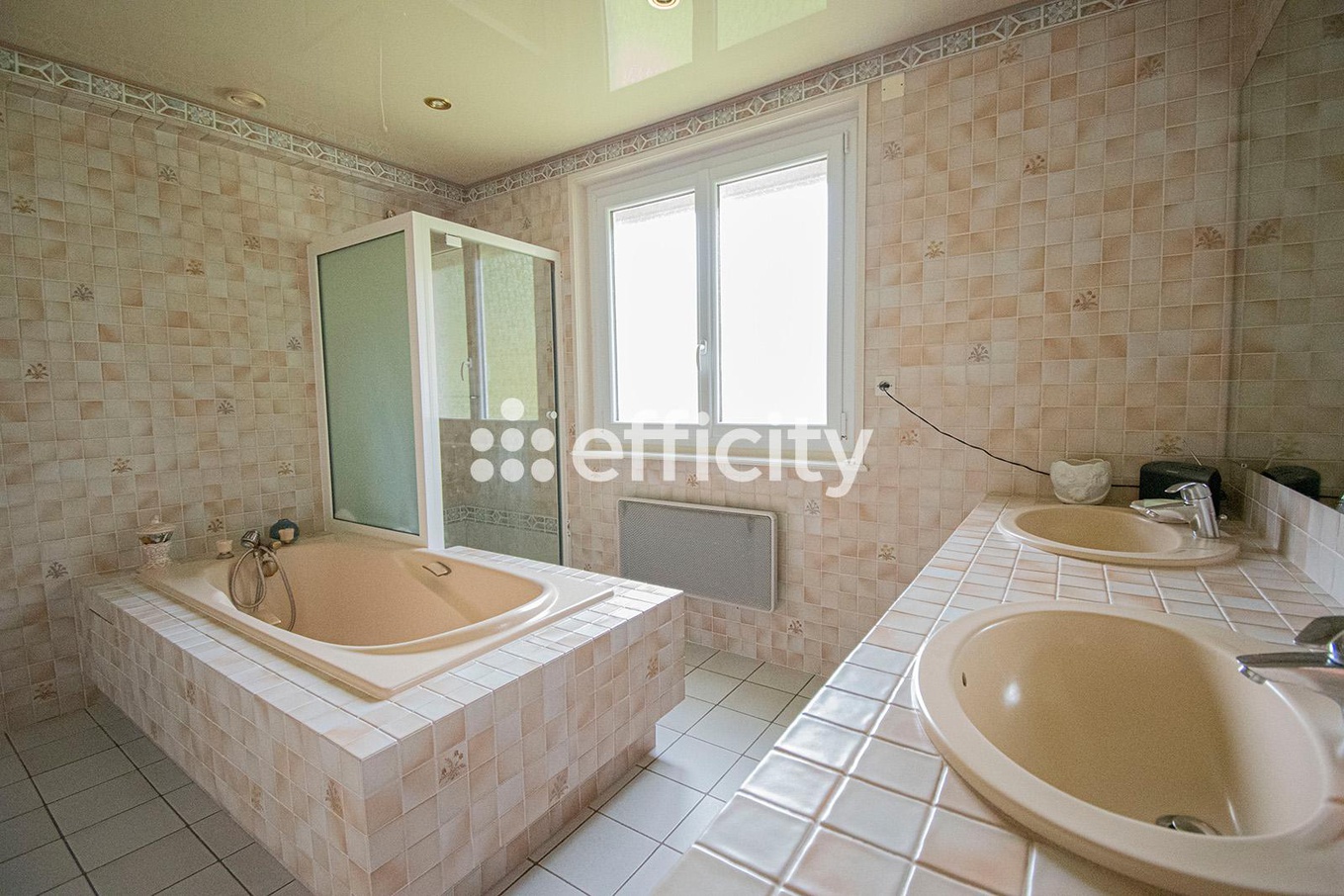 Achat immobilier Maison 8 pièces  171m2 à Sancé (71000) - Photo n°11