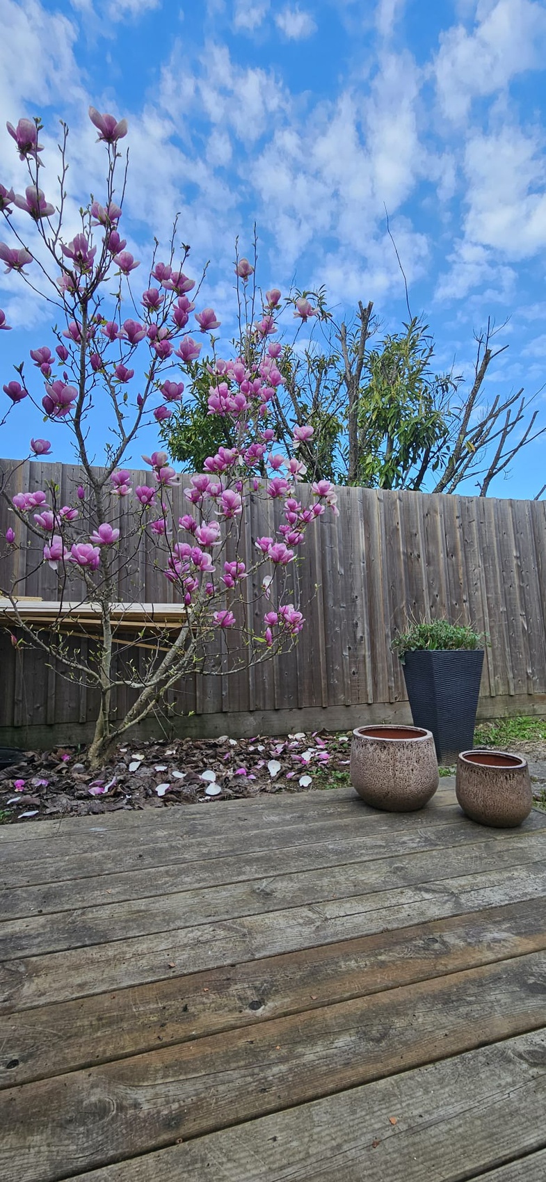 Achat immobilier Maison 4 pièces  77m2 à Villenave-d'Ornon (33140) - Photo n°9