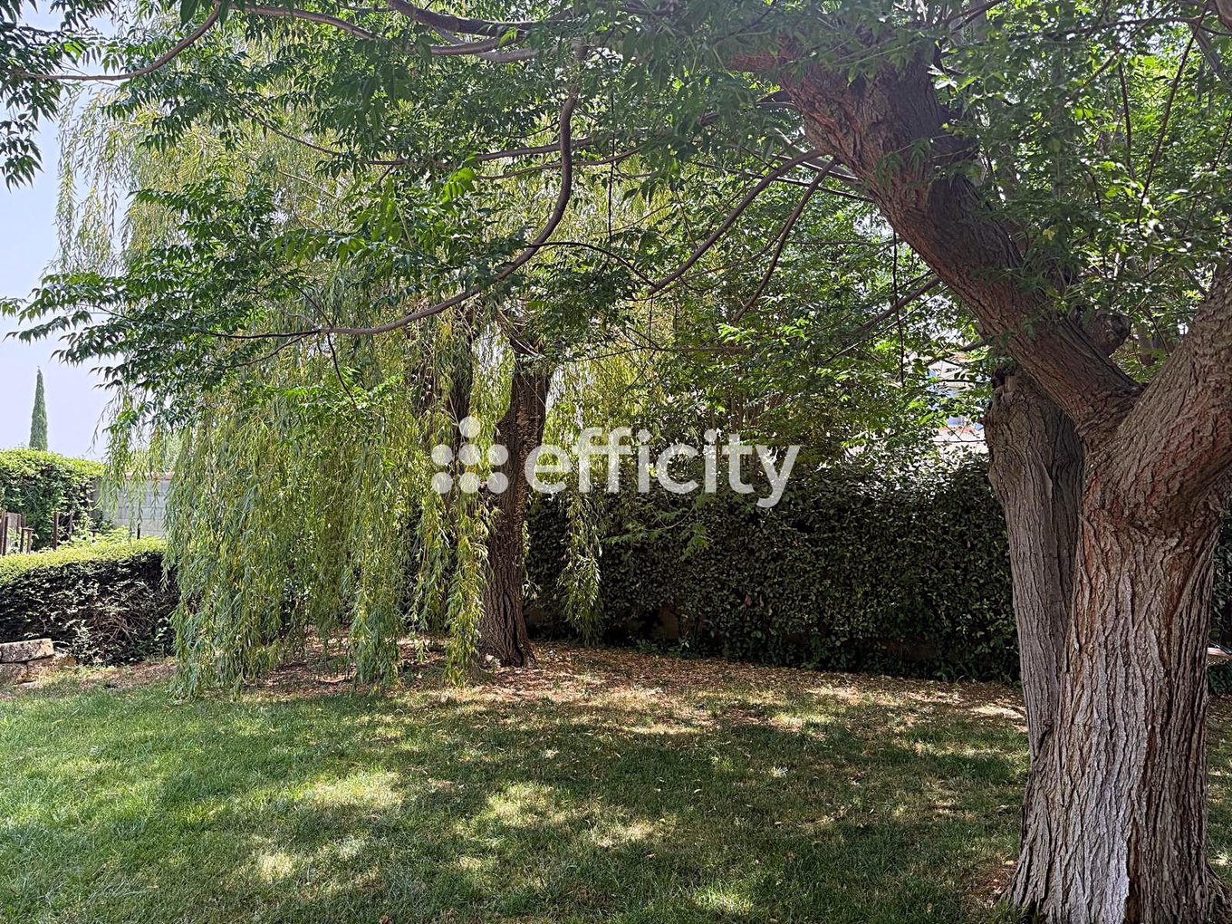 Achat immobilier Maison 6 pièces  130m2 à Saint-Jean-de-Fos (34150) - Photo n°15
