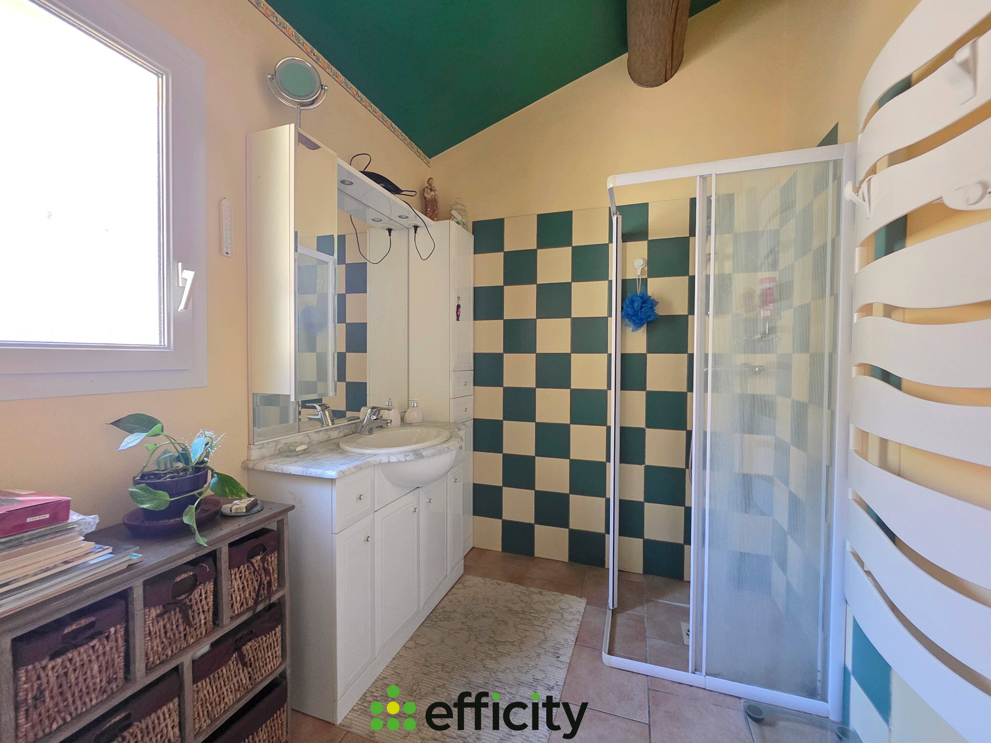 Achat immobilier Maison 6 pièces  118m2 à Estoublon (04270) - Photo n°10