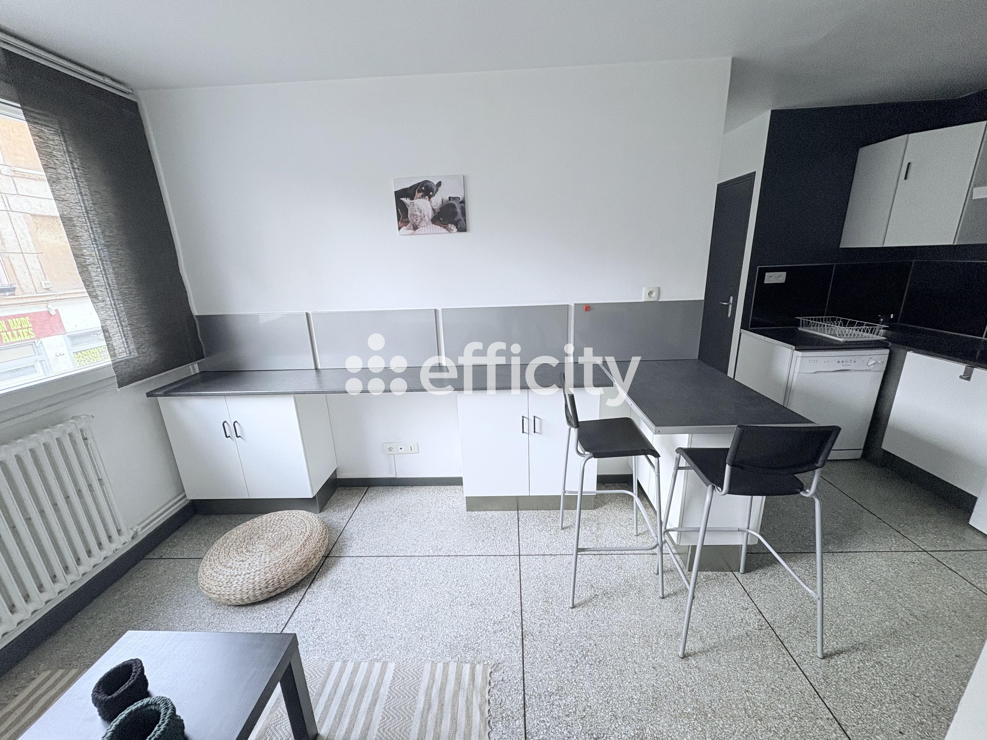 Achat immobilier Appartement 2 pièces  28m2 à Saint-Étienne (42100) - Photo n°4