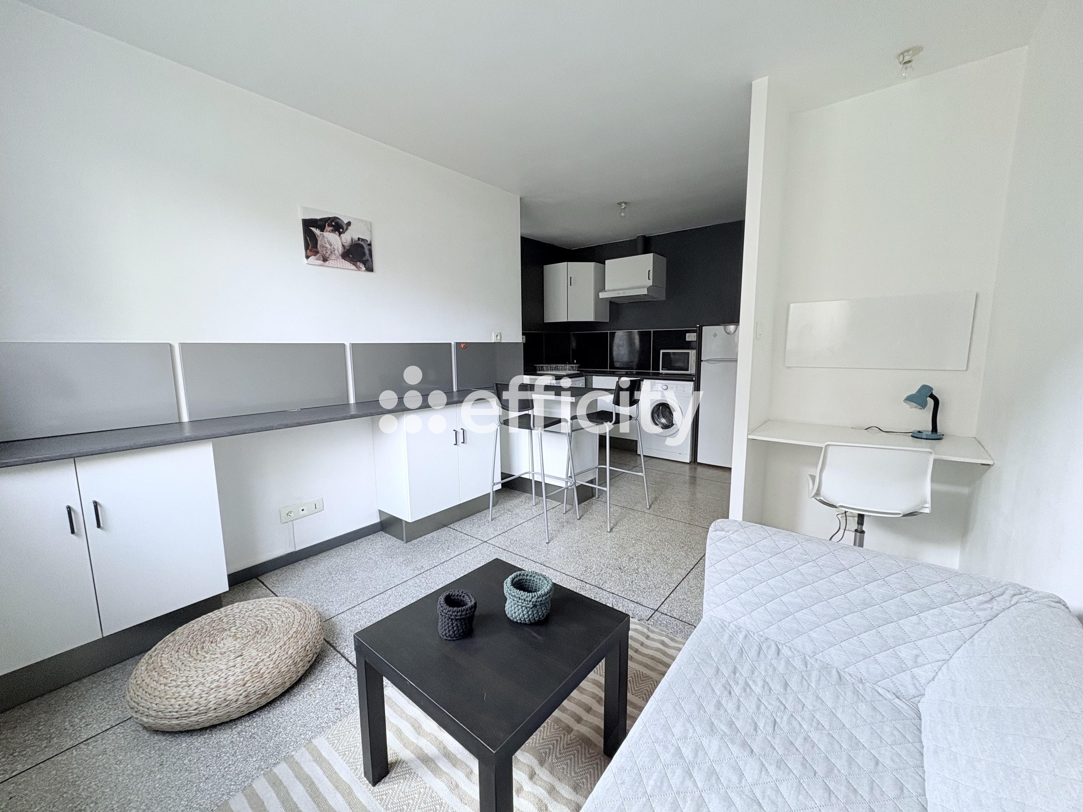 appartement 2 pièces - 28m2 à Saint-Étienne (42100)