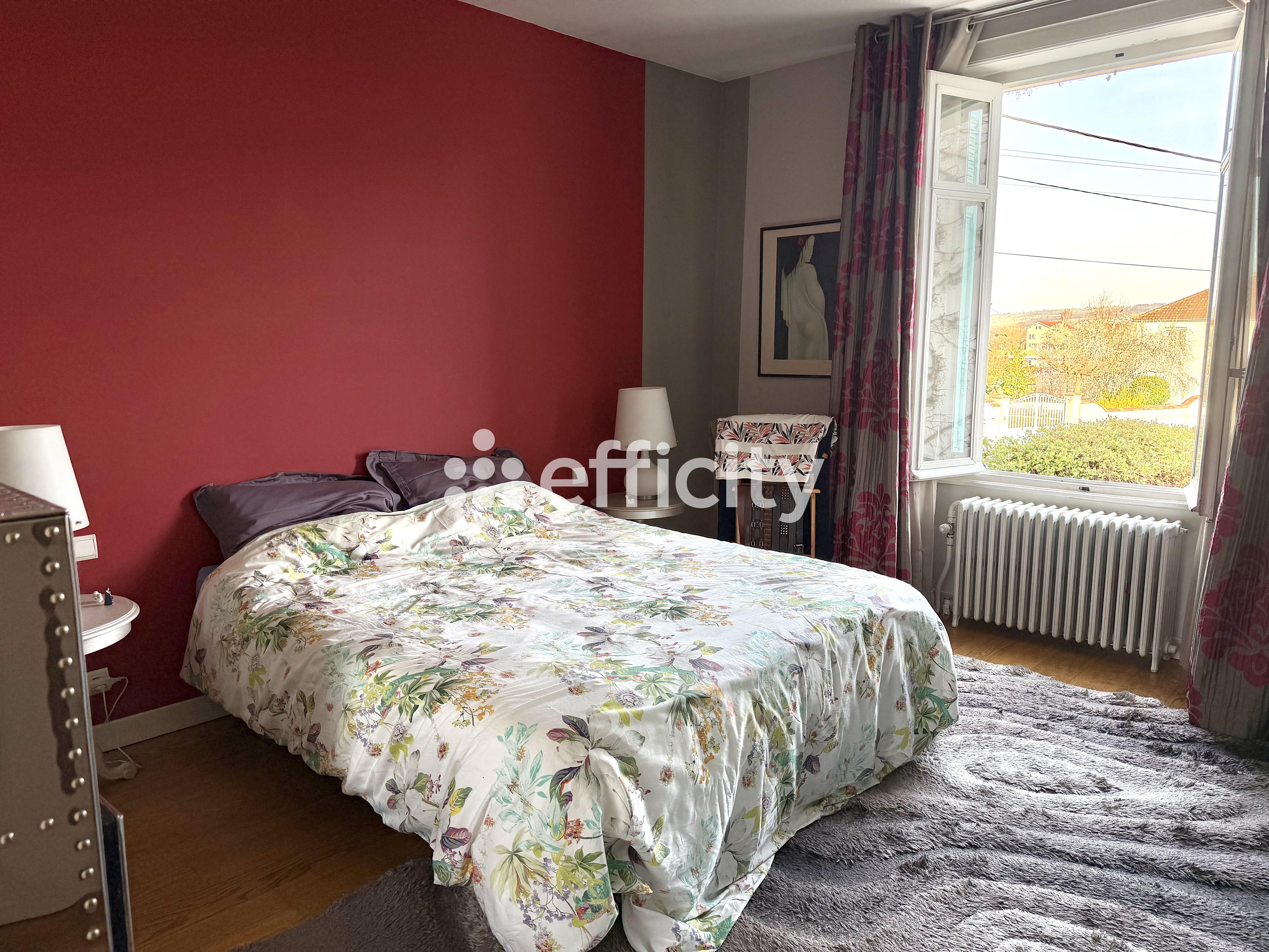 Achat immobilier Maison 9 pièces  320m2 à Veauche (42340) - Photo n°5