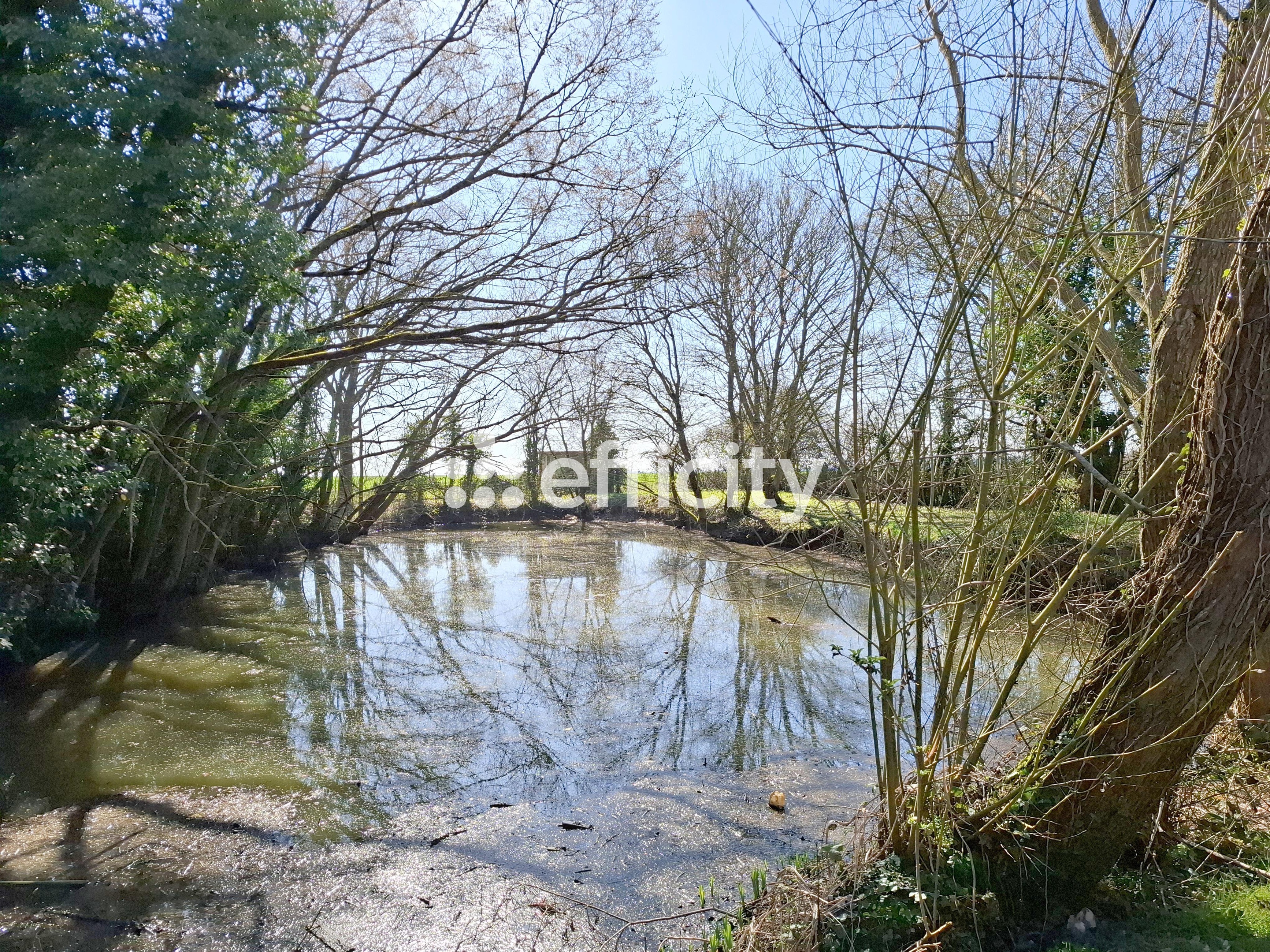 Achat immobilier Maison 6 pièces  149m2 à Luplanté (28360) - Photo n°4