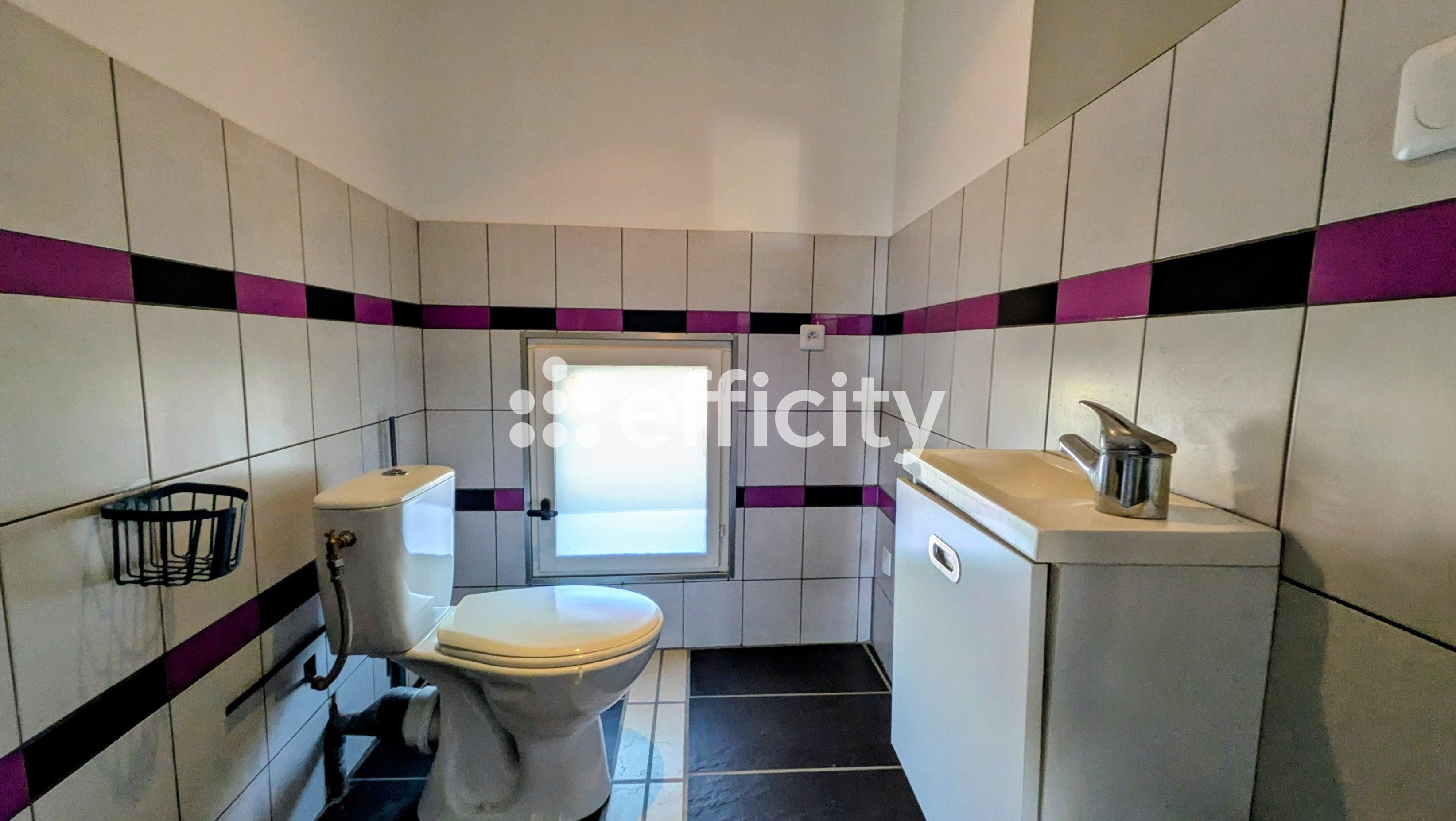 Achat immobilier Maison 8 pièces  413m2 à Tournus (71700) - Photo n°16