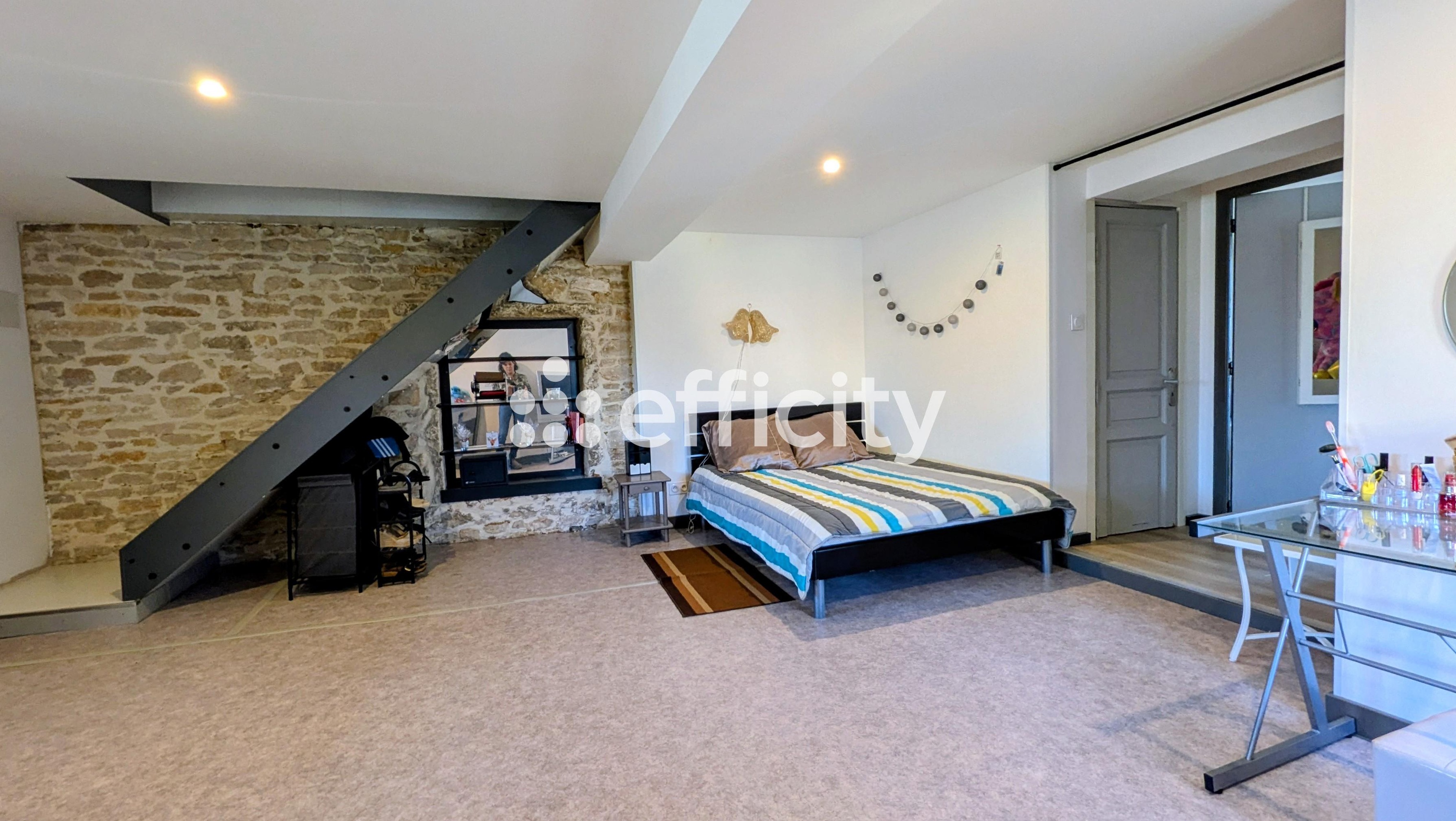 Achat immobilier Maison 8 pièces  413m2 à Tournus (71700) - Photo n°18