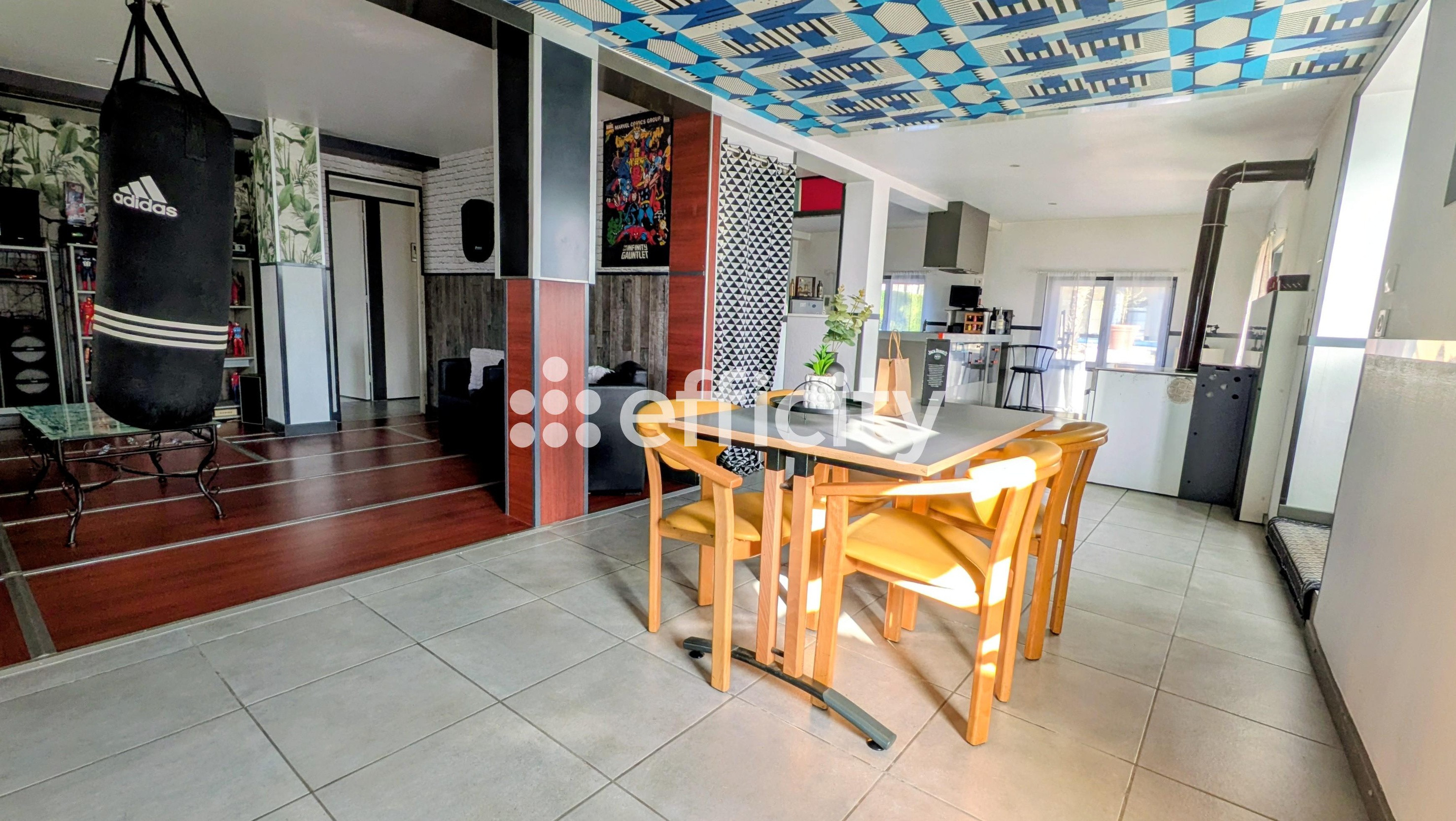 Achat immobilier Maison 8 pièces  413m2 à Tournus (71700) - Photo n°20