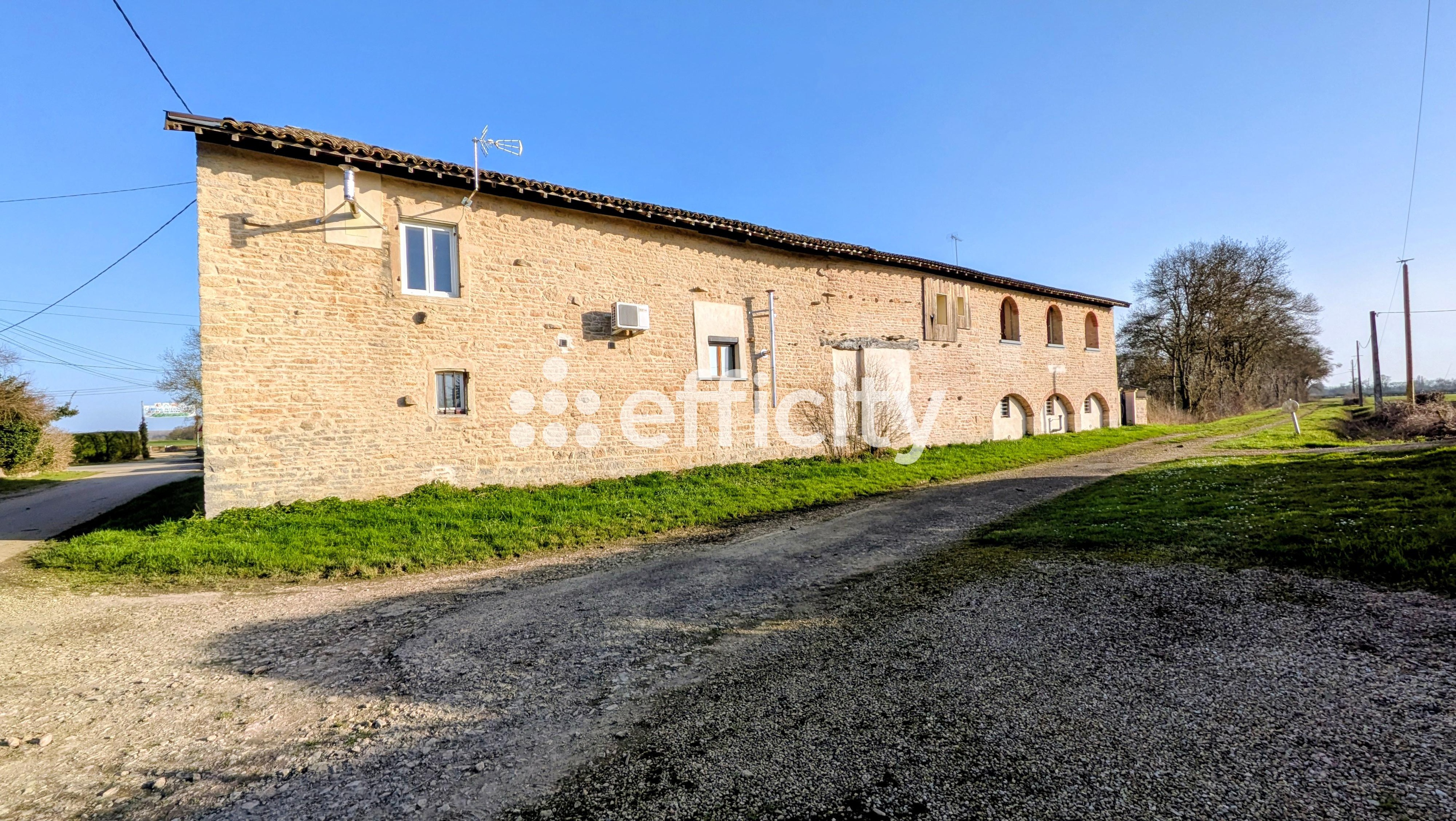 Achat immobilier Maison 8 pièces  413m2 à Tournus (71700) - Photo n°23