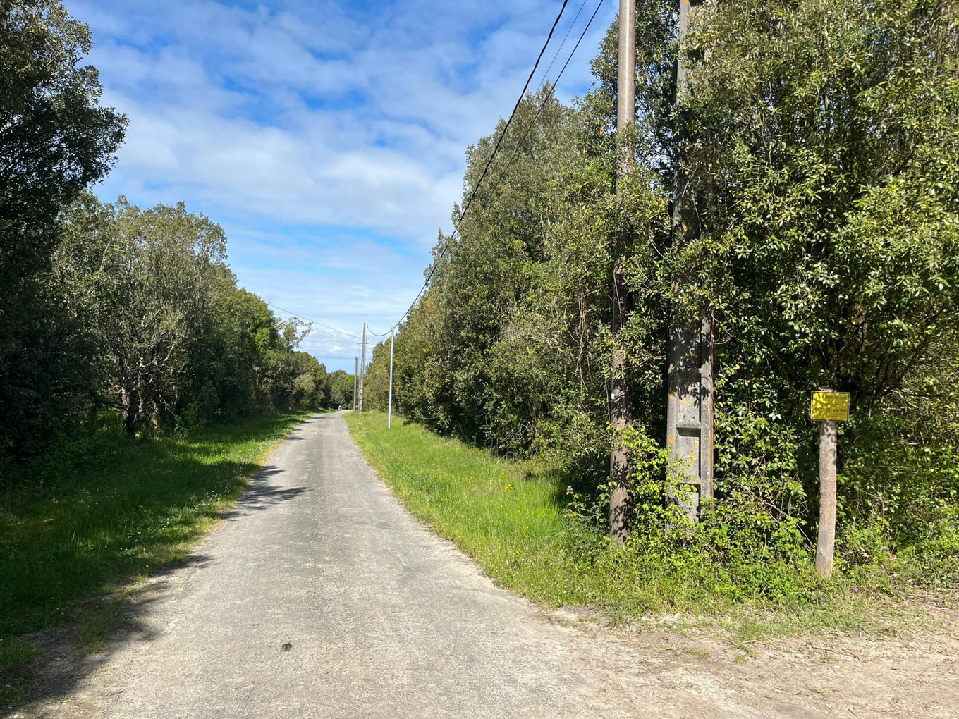 Achat immobilier Terrain   100m2 à Saint-Même-les-Carrières (16720) - Photo n°4