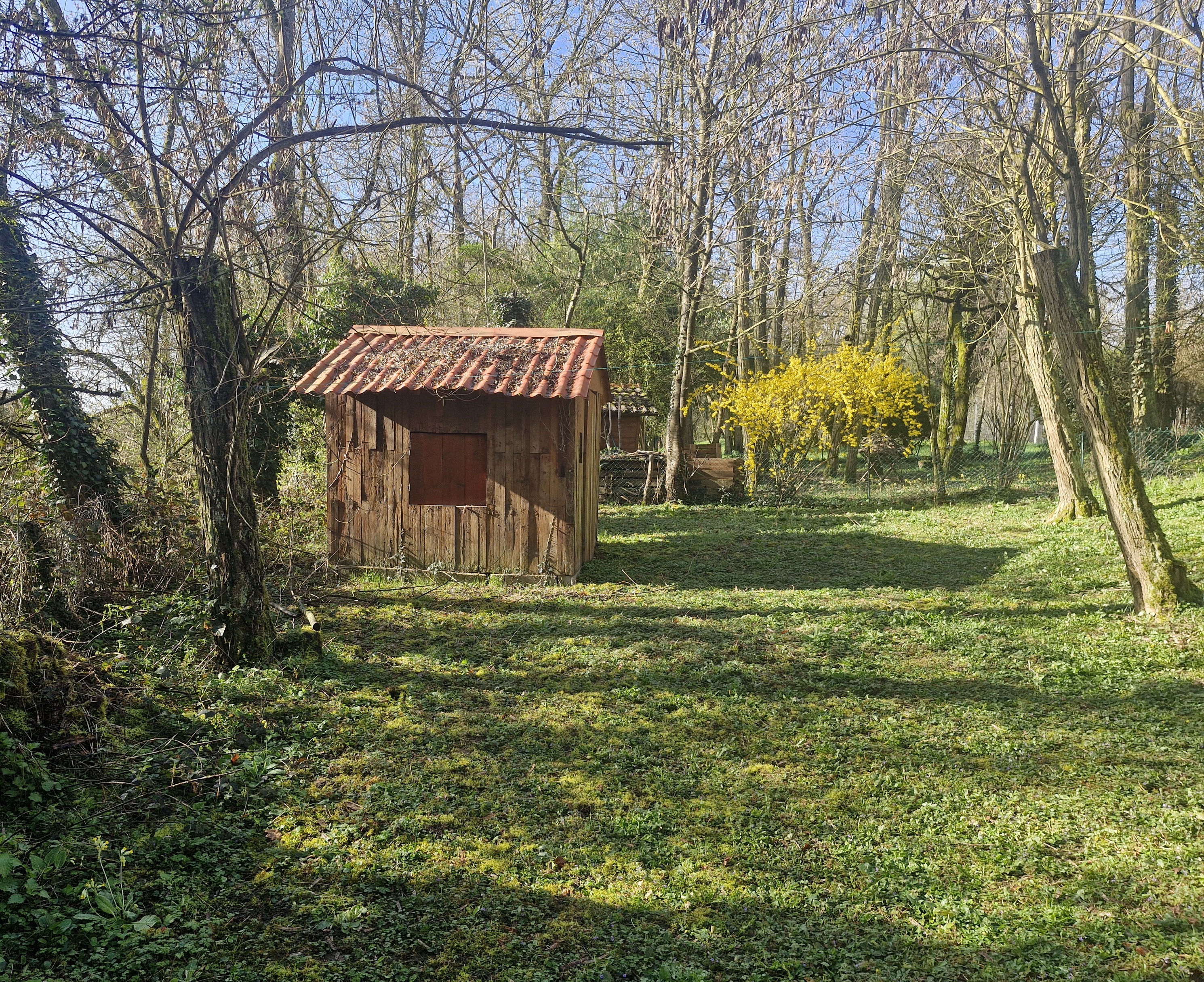 Achat immobilier Maison 4 pièces  118m2 à Dardilly (69570) - Photo n°13