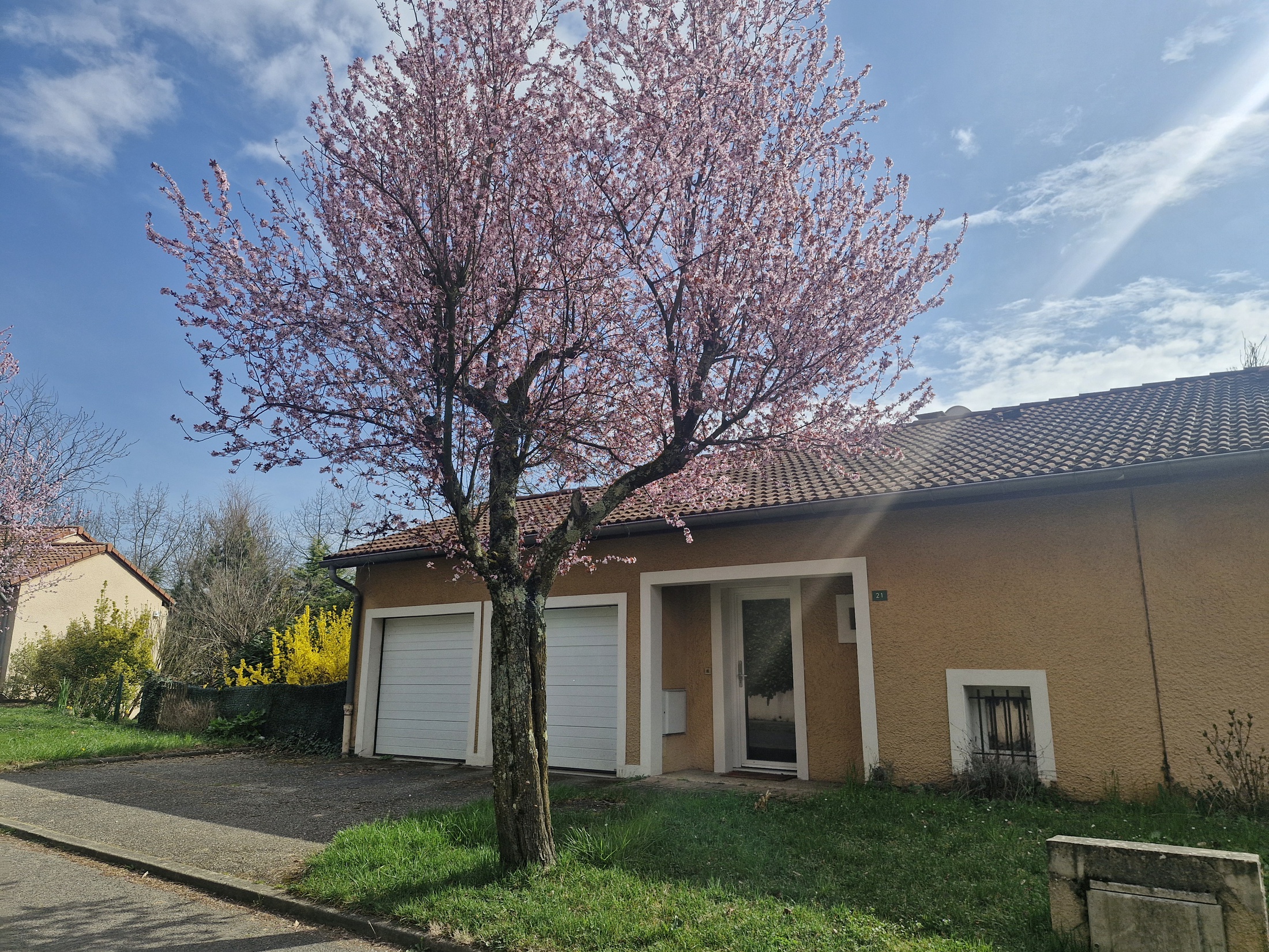 maison 4 pièces - 118m2 à Dardilly (69570)