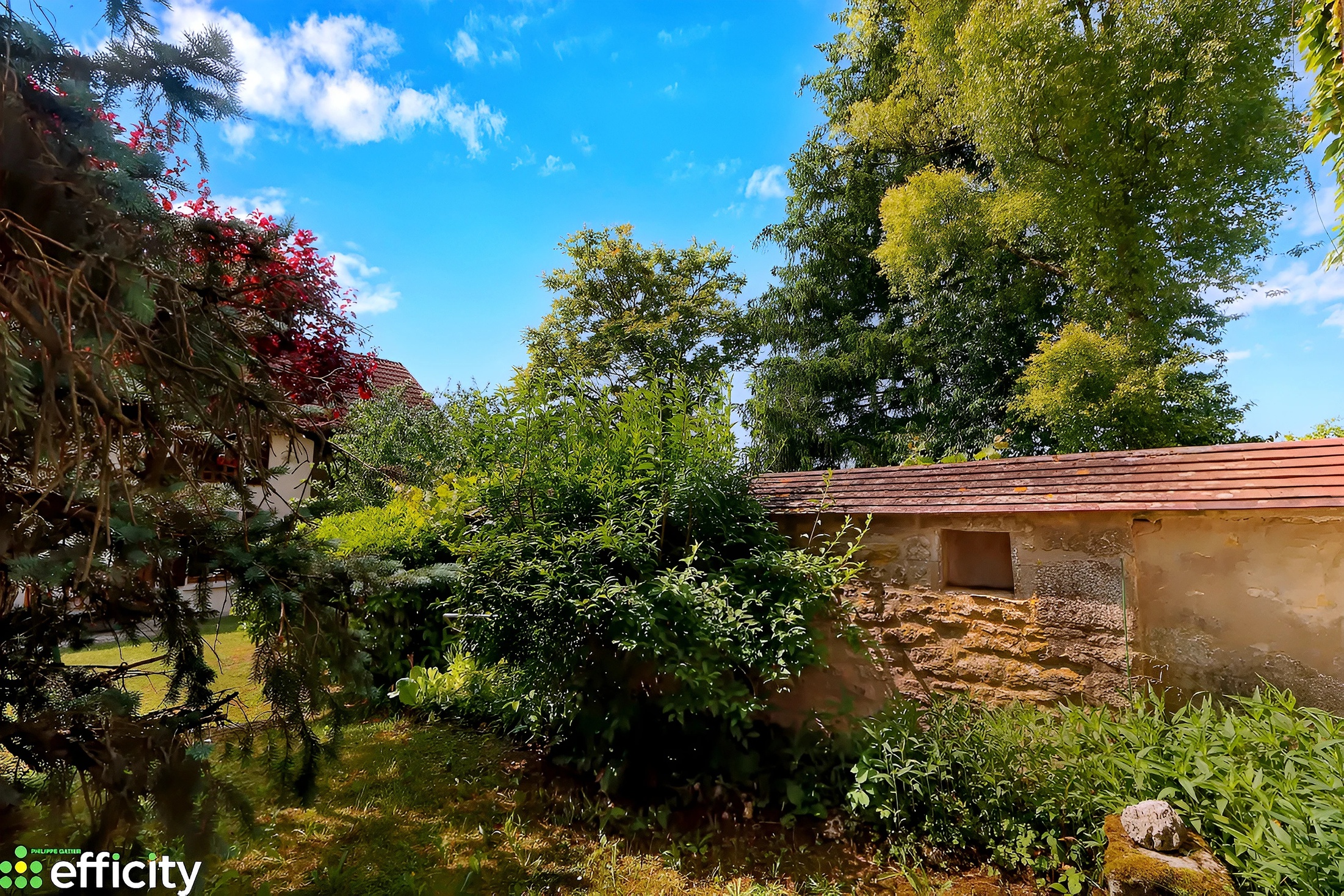 Achat immobilier Maison 6 pièces  130m2 à Villedieu (21330) - Photo n°5