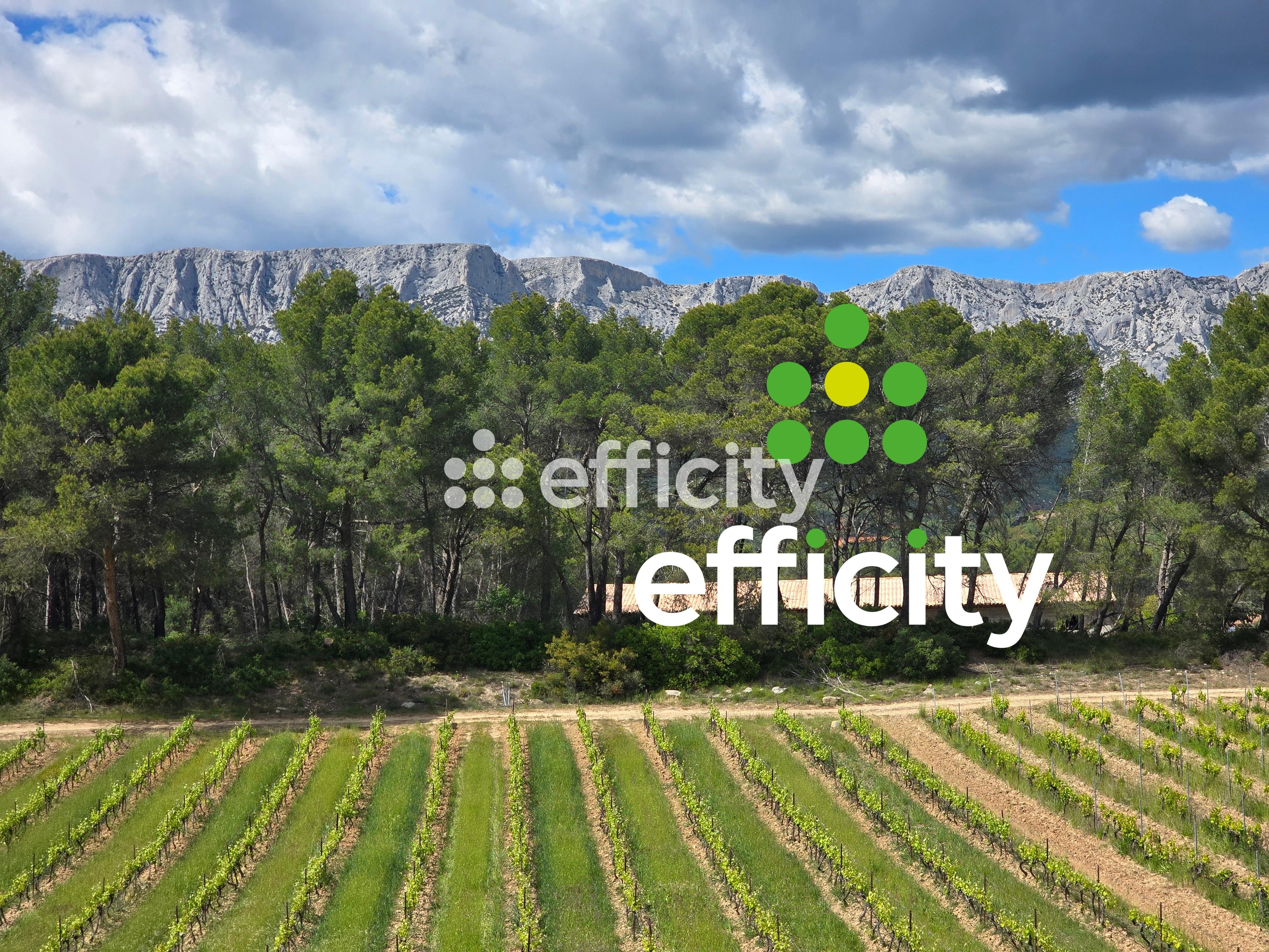 Achat immobilier Maison 6 pièces  160m2 à Rousset (13790) - Photo n°22