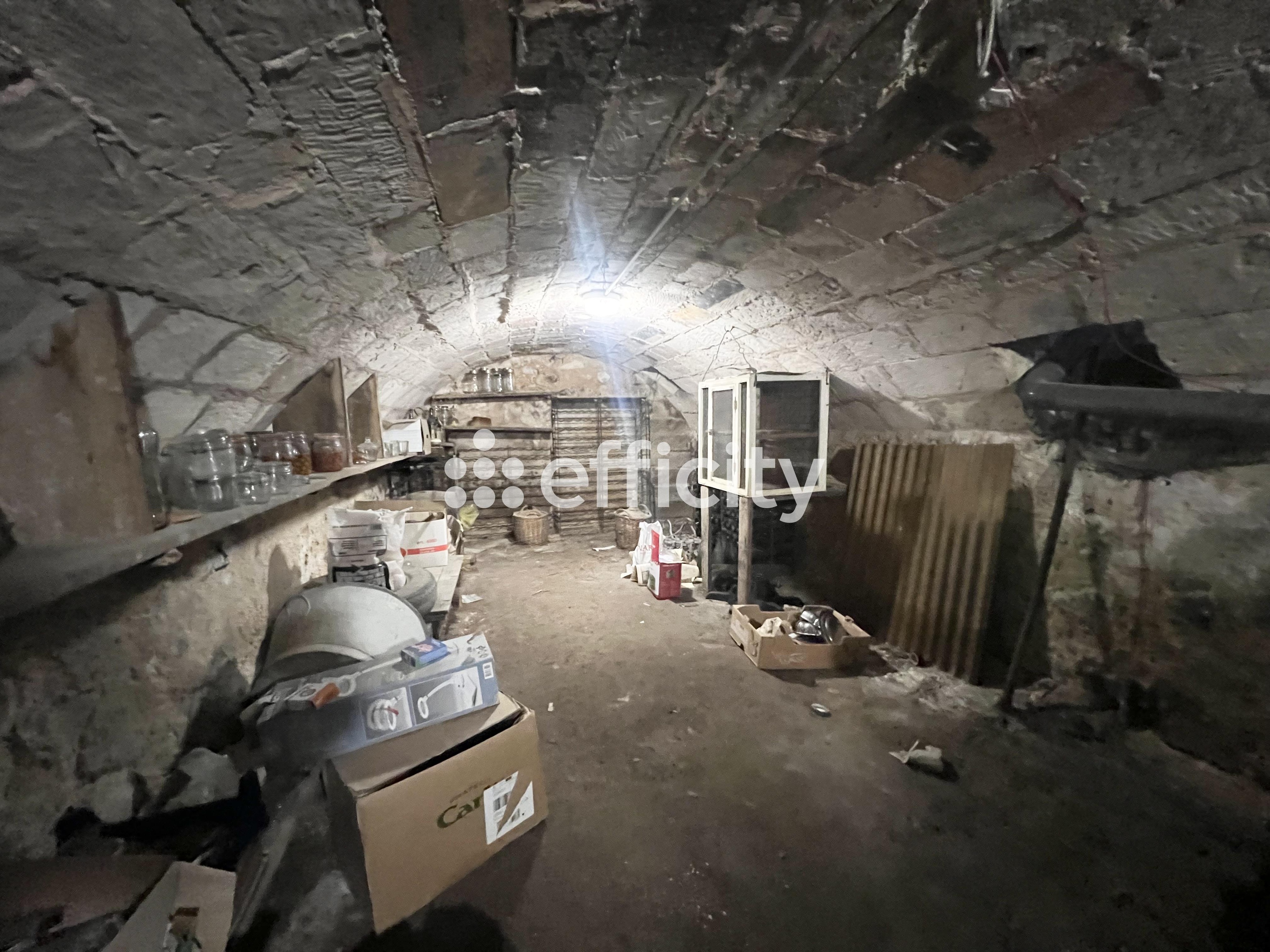 Achat immobilier Maison 7 pièces  208m2 à Le Grand-Pressigny (37350) - Photo n°18