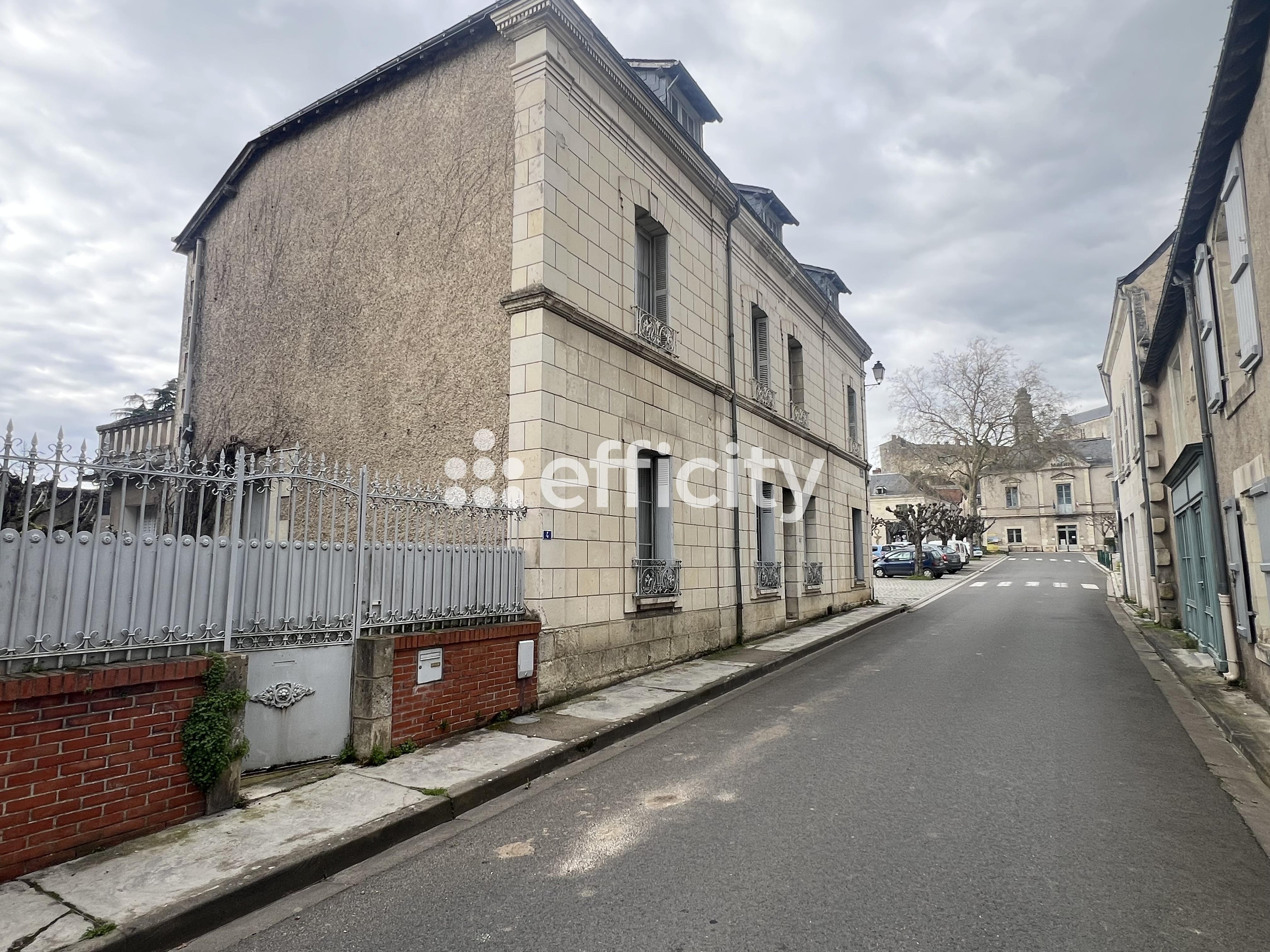 Achat immobilier Maison 7 pièces  208m2 à Le Grand-Pressigny (37350) - Photo n°20