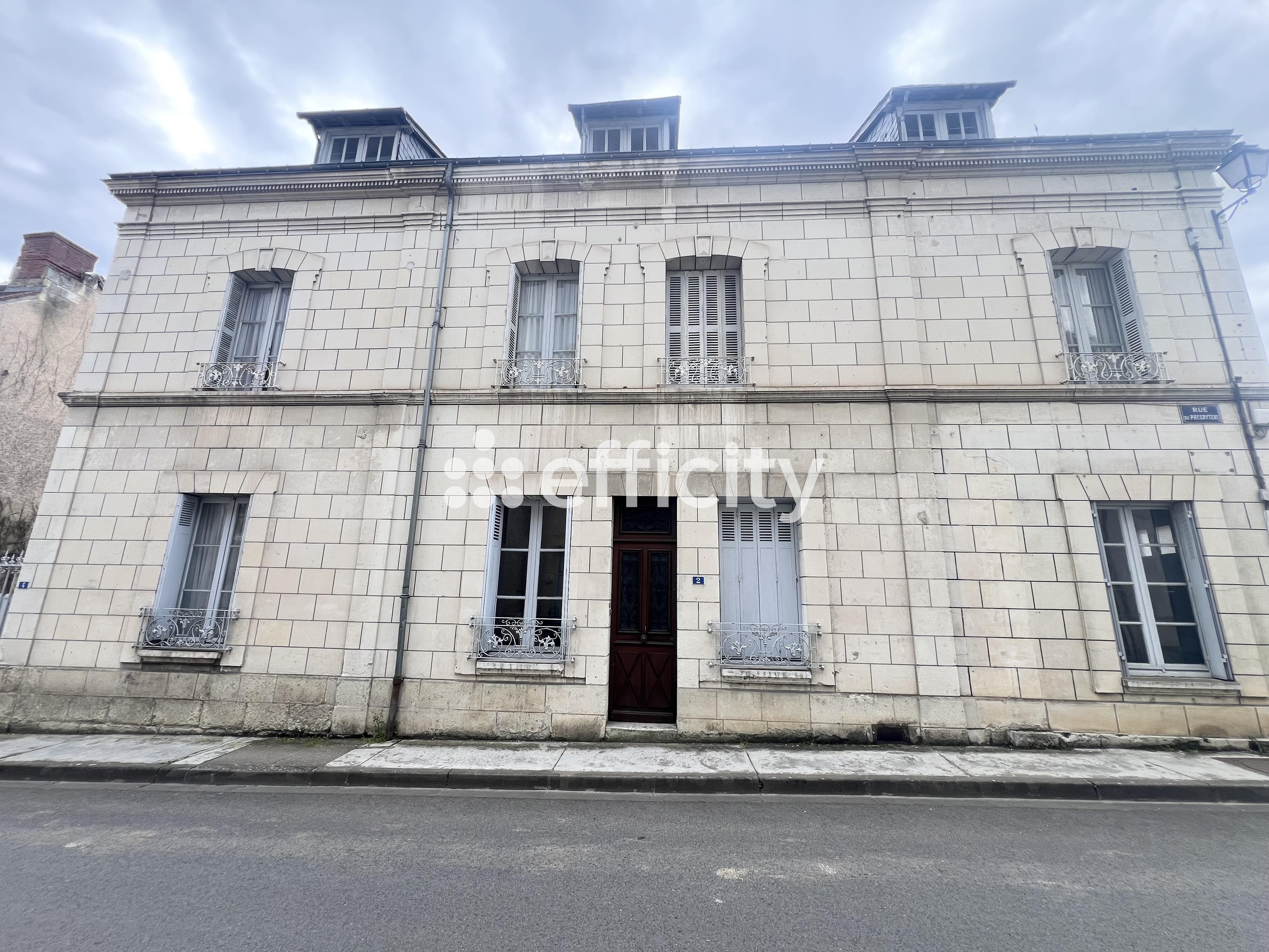 Achat immobilier Maison 7 pièces  208m2 à Le Grand-Pressigny (37350) - Photo n°19