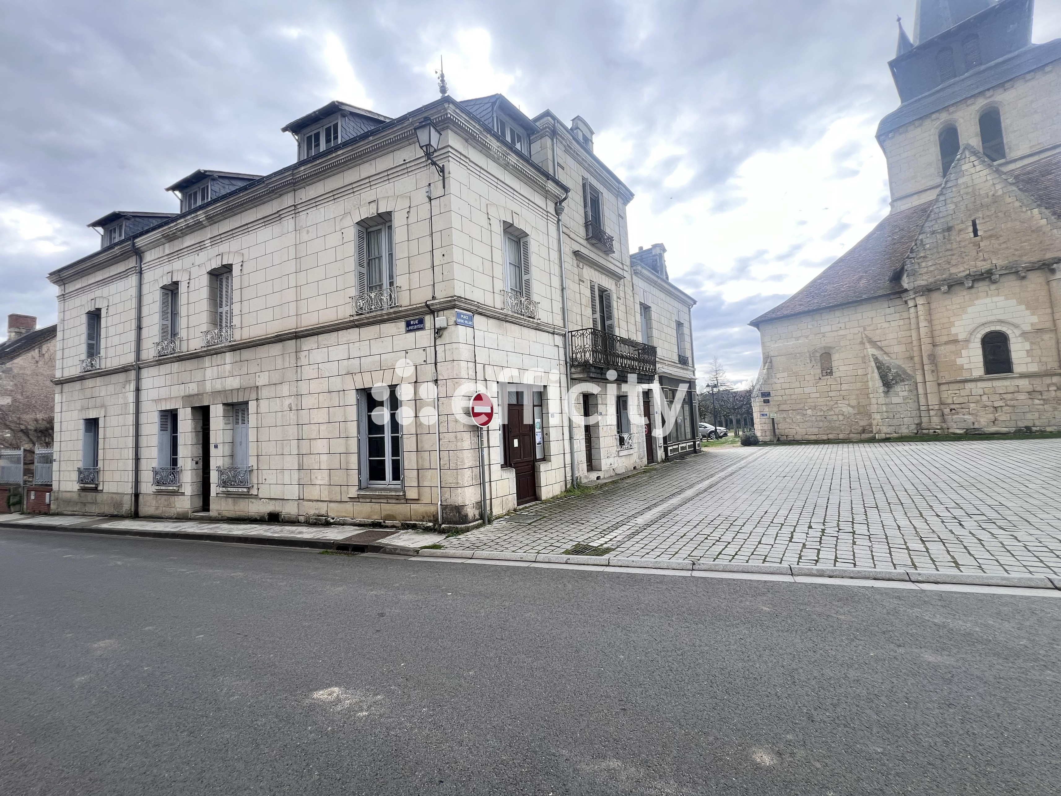 Achat immobilier Maison 7 pièces  208m2 à Le Grand-Pressigny (37350) - Photo n°1