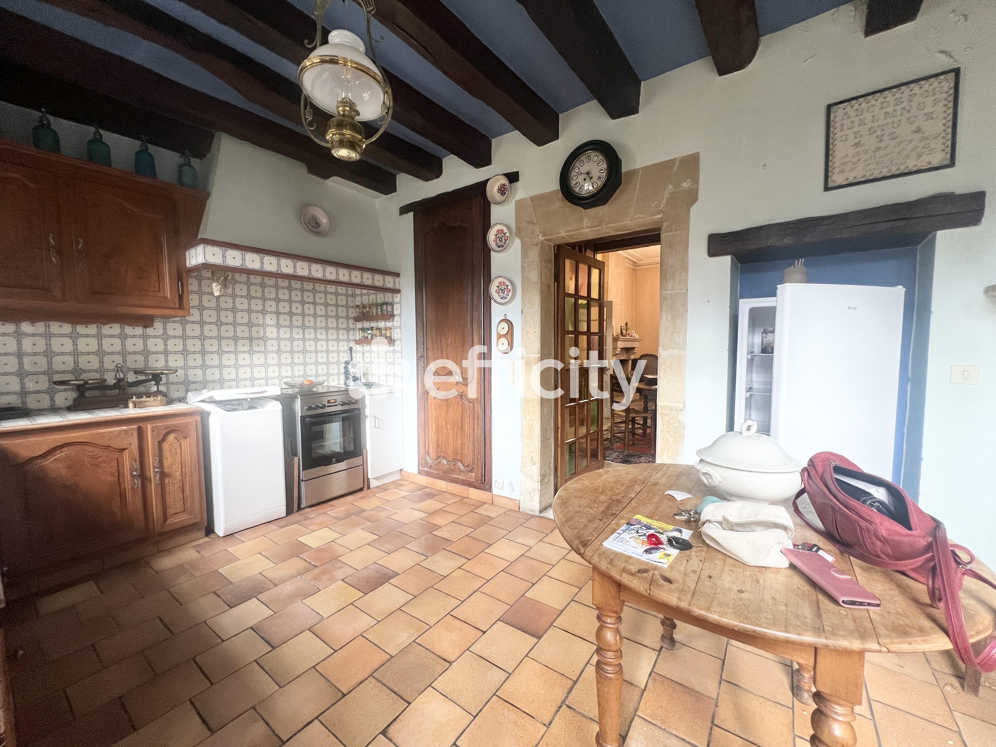 Achat immobilier Maison 7 pièces  208m2 à Le Grand-Pressigny (37350) - Photo n°7