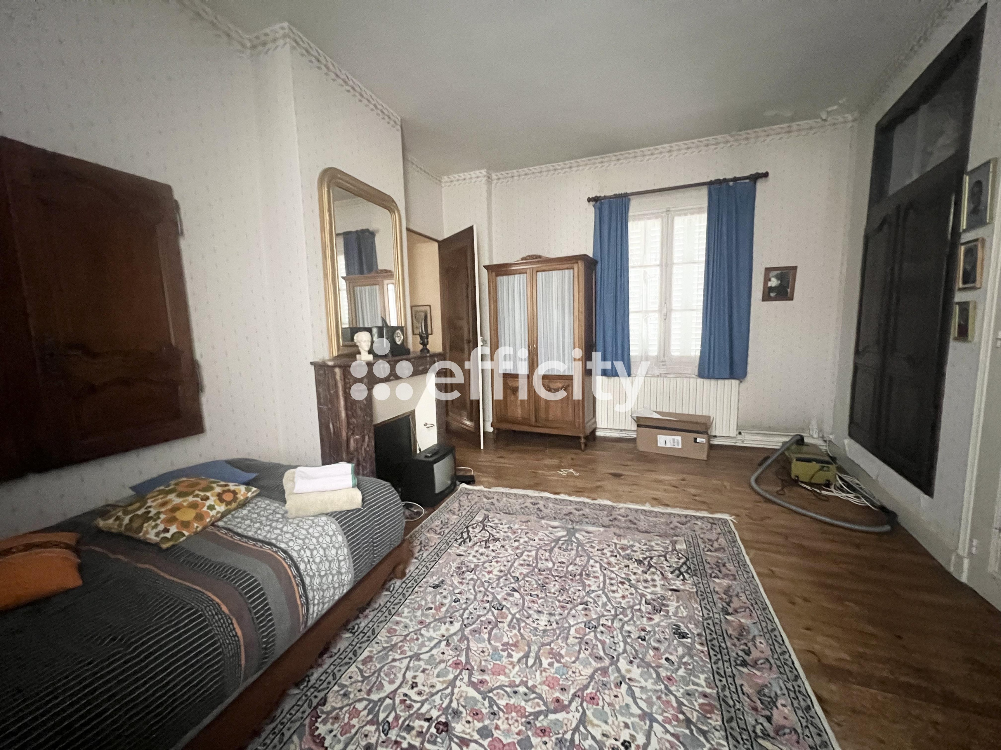 Achat immobilier Maison 7 pièces  208m2 à Le Grand-Pressigny (37350) - Photo n°10