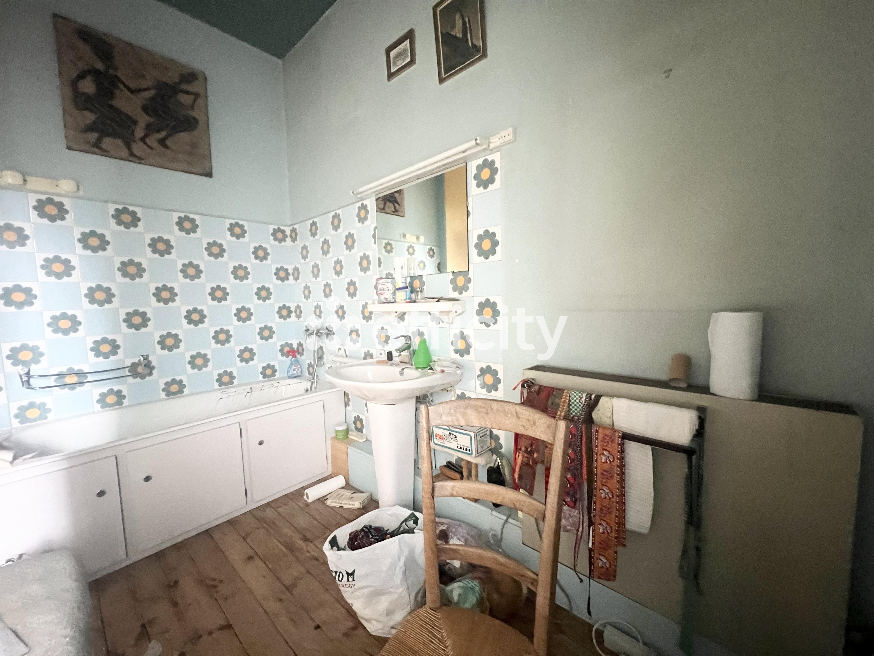 Achat immobilier Maison 7 pièces  208m2 à Le Grand-Pressigny (37350) - Photo n°9