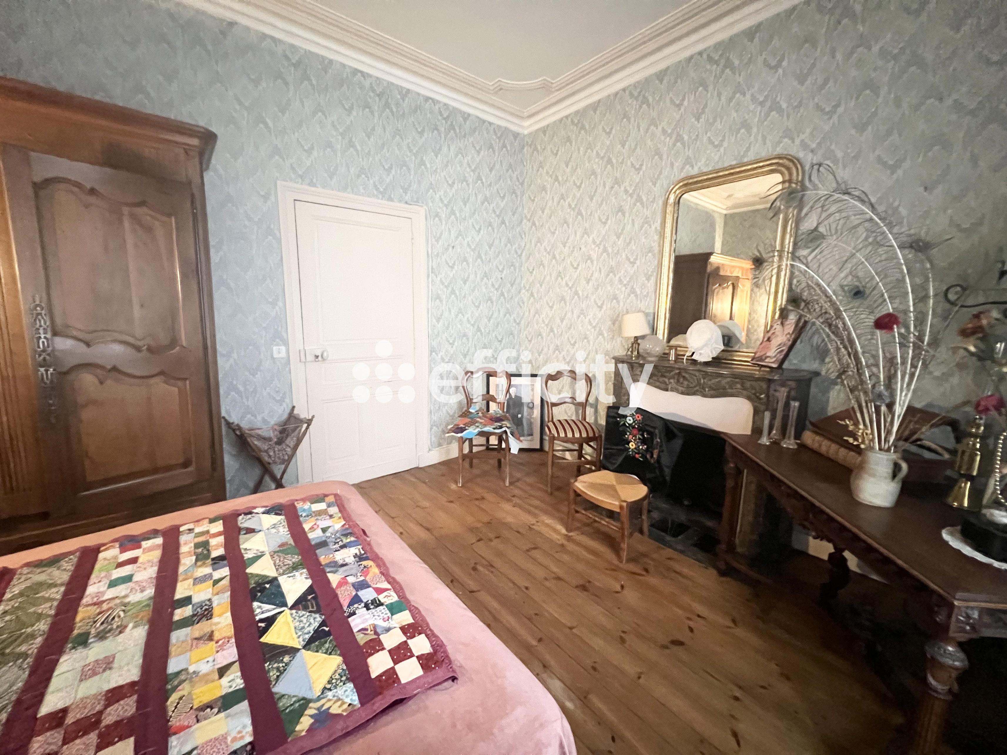 Achat immobilier Maison 7 pièces  208m2 à Le Grand-Pressigny (37350) - Photo n°12