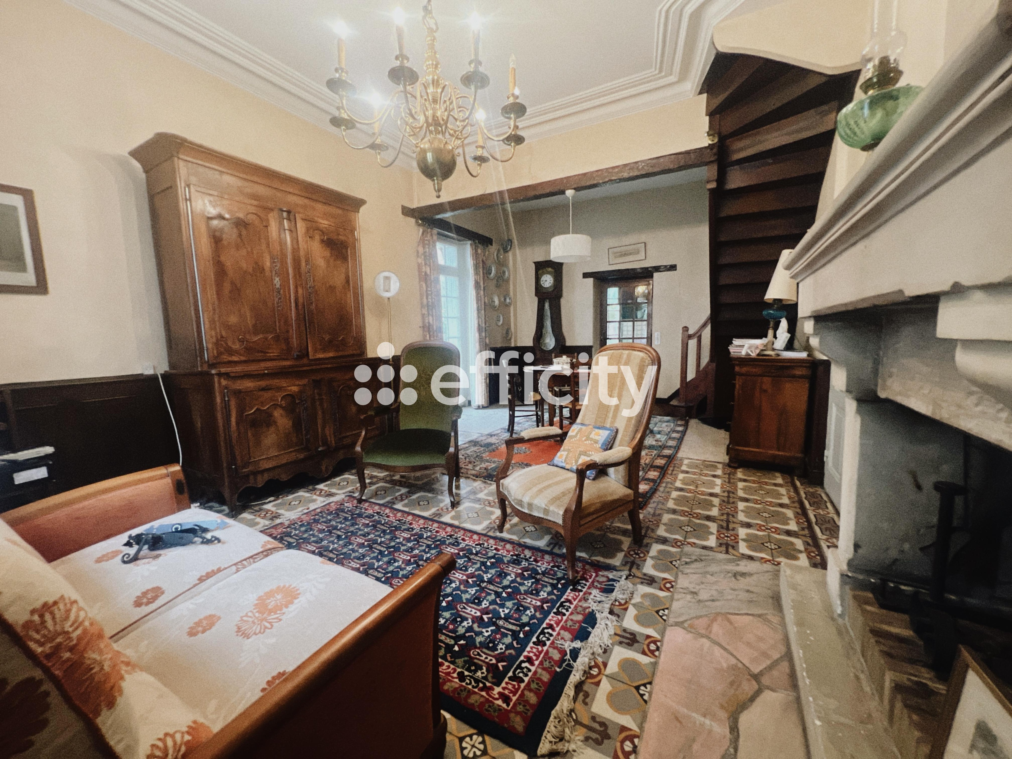 Achat immobilier Maison 7 pièces  208m2 à Le Grand-Pressigny (37350) - Photo n°6