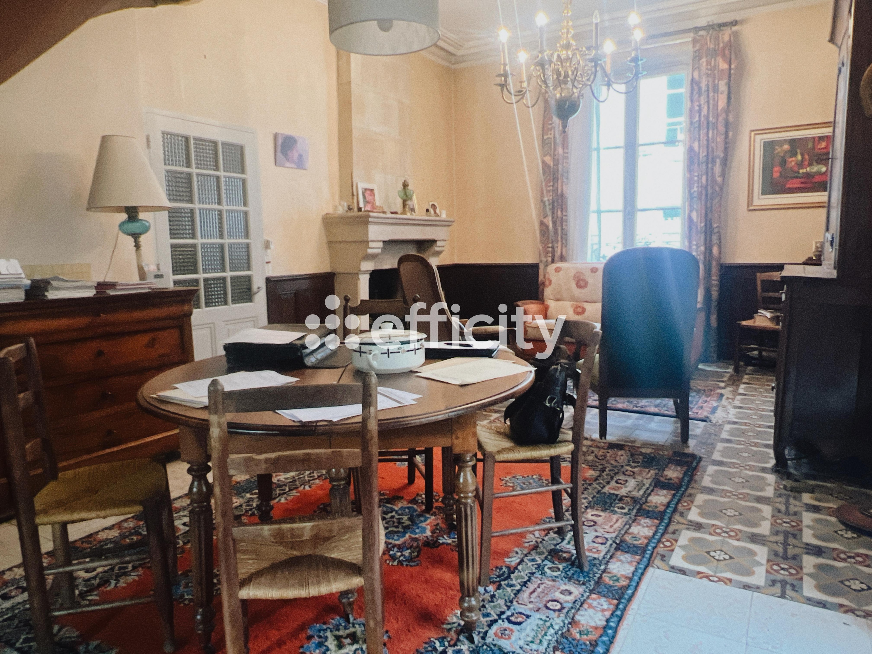 Achat immobilier Maison 7 pièces  208m2 à Le Grand-Pressigny (37350) - Photo n°4