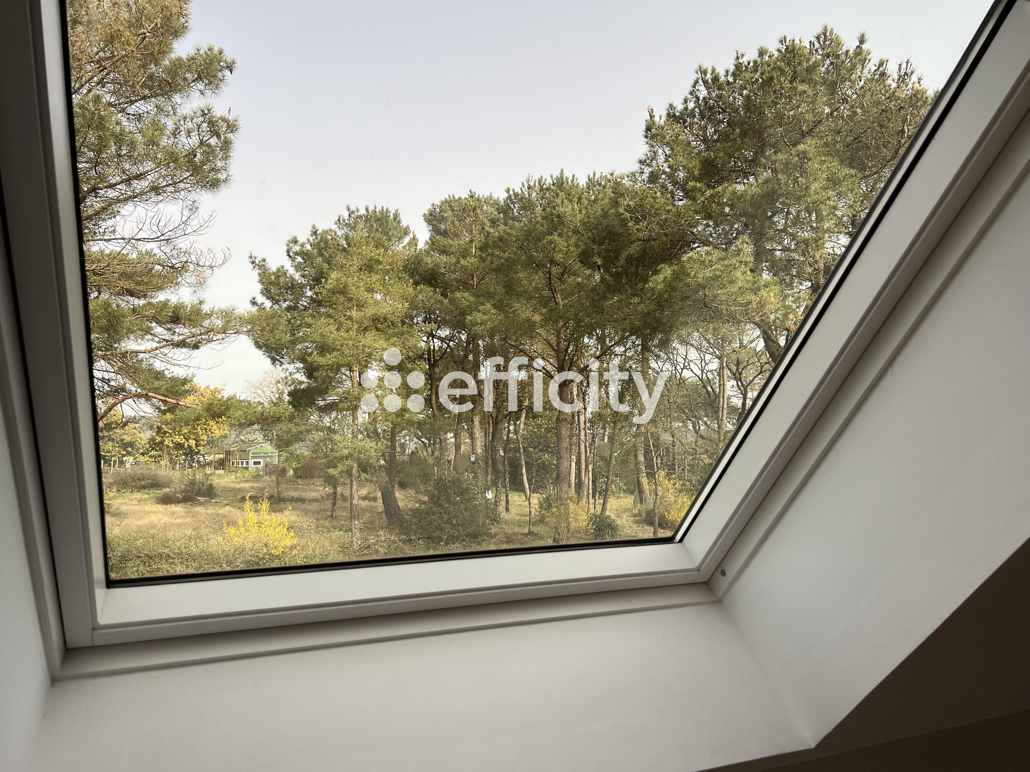 Achat immobilier Maison 6 pièces  128m2 à Saint-Thurial (35310) - Photo n°12