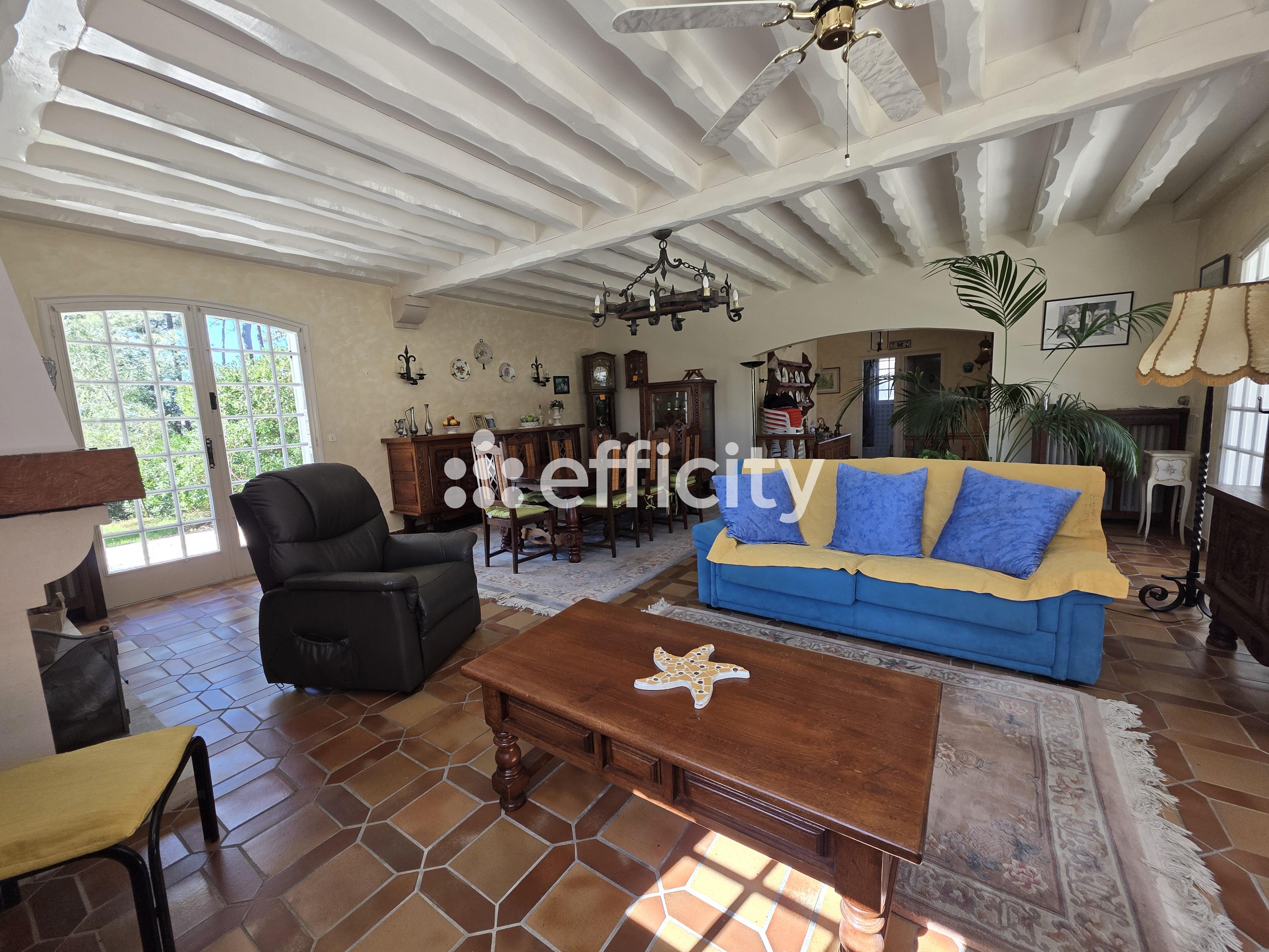 Achat immobilier Maison 8 pièces  194m2 à La Teste-de-Buch (33115) - Photo n°4