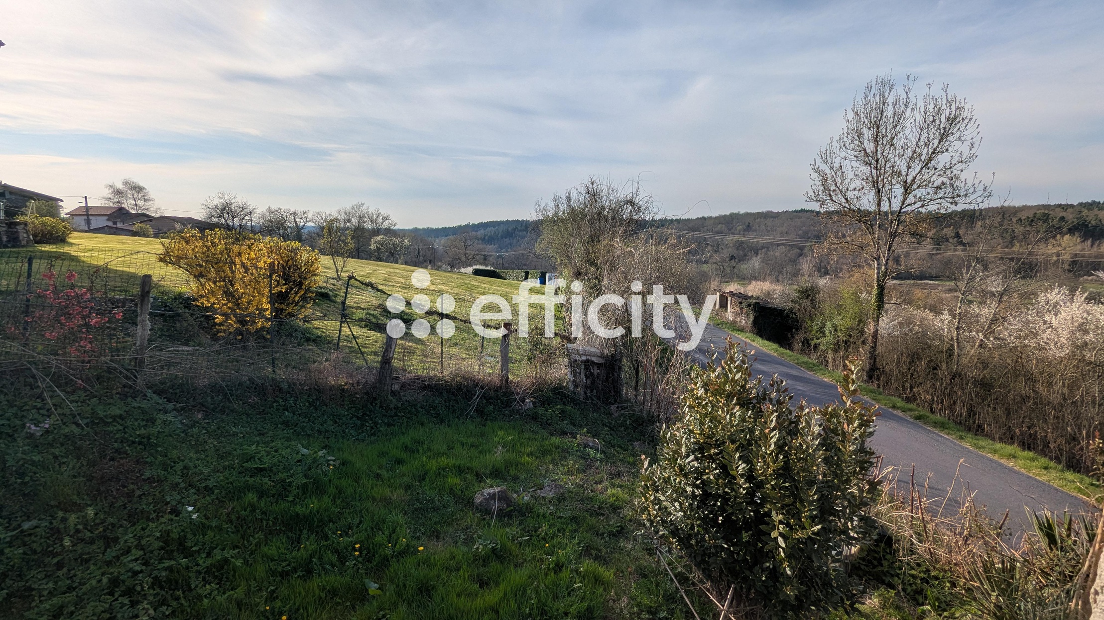 maison 12 pièces - 210,0m2 à Vollore-Ville (63120)