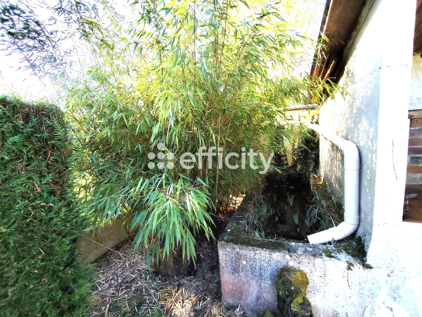 Achat immobilier Maison 5 pièces  150m2 à Lèves (28300) - Photo n°6