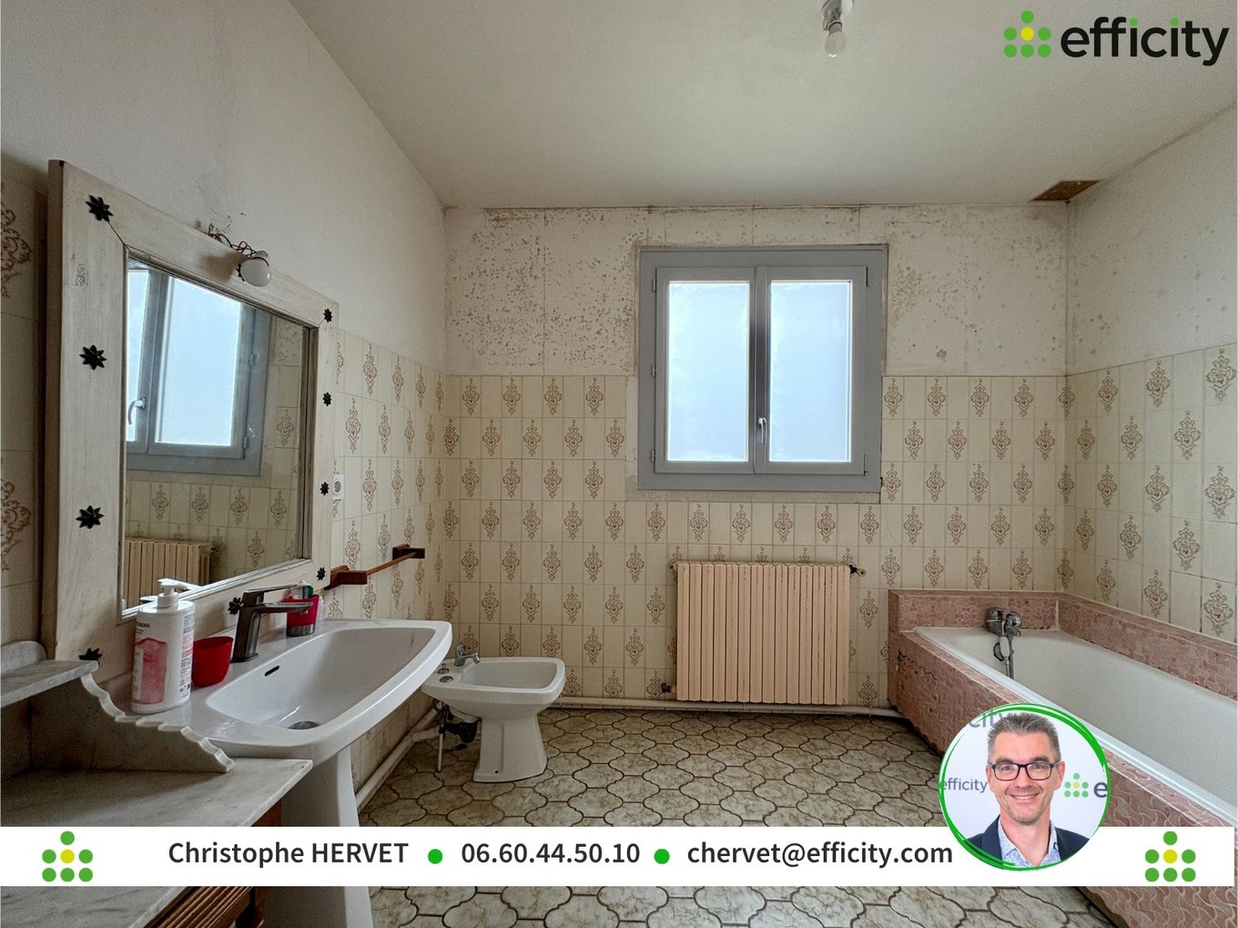 Achat immobilier Maison 6 pièces  197m2 à Nersac (16440) - Photo n°12