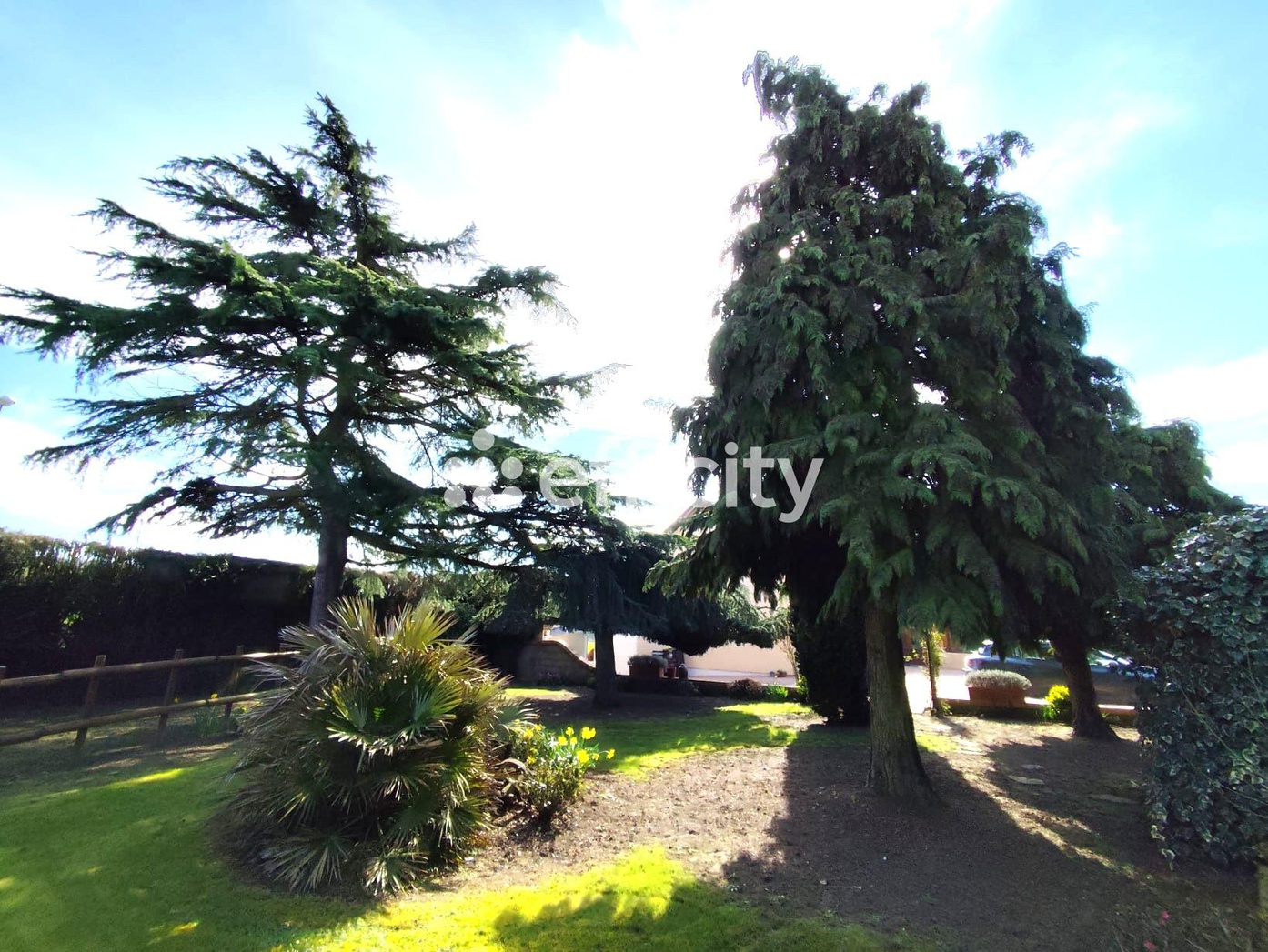 Achat immobilier Maison 6 pièces  146m2 à Bailleau-le-Pin (28120) - Photo n°5