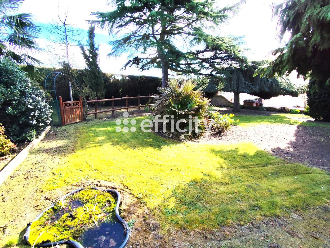Achat immobilier Maison 6 pièces  146m2 à Bailleau-le-Pin (28120) - Photo n°6