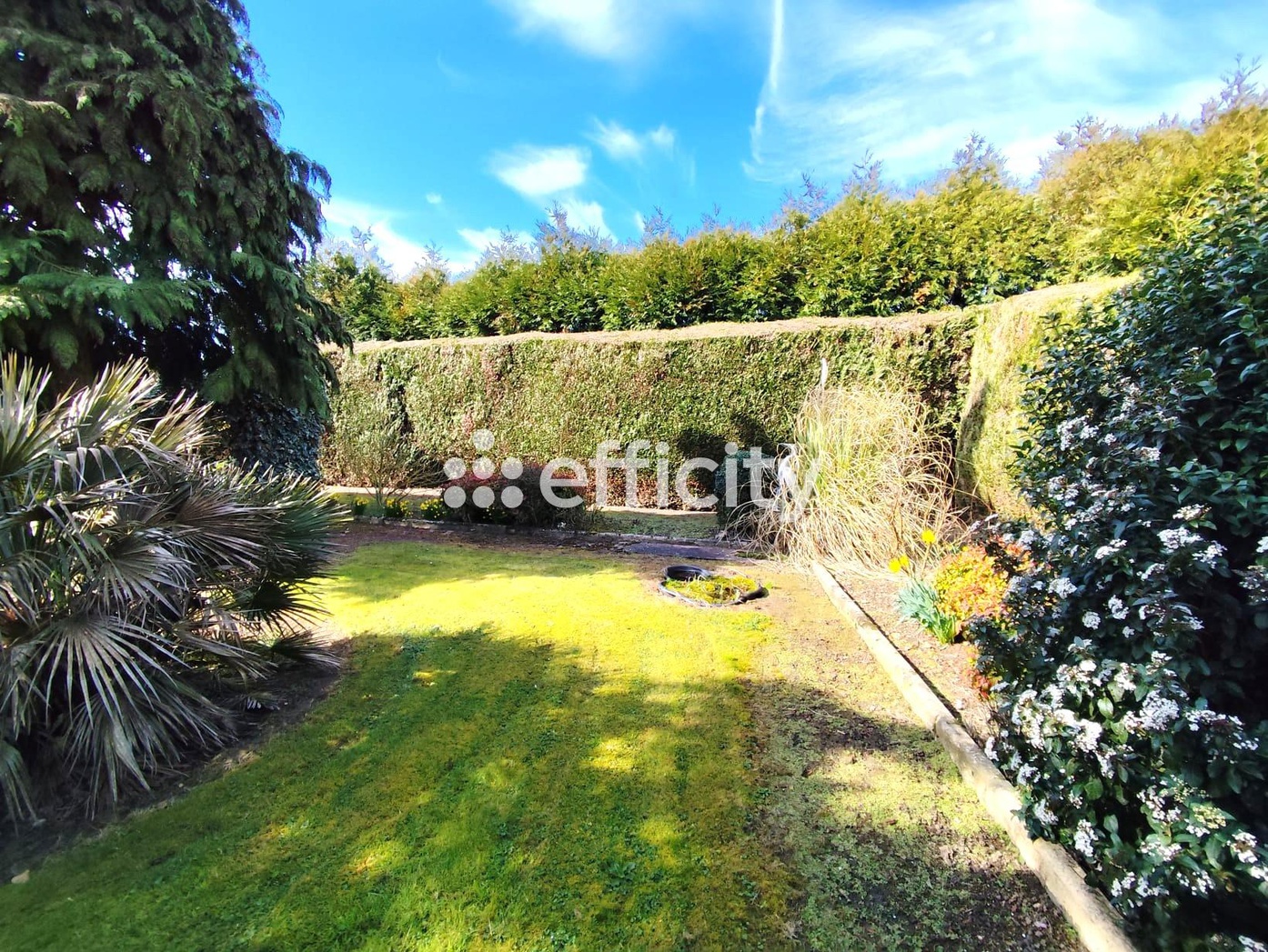 Achat immobilier Maison 6 pièces  146m2 à Bailleau-le-Pin (28120) - Photo n°7