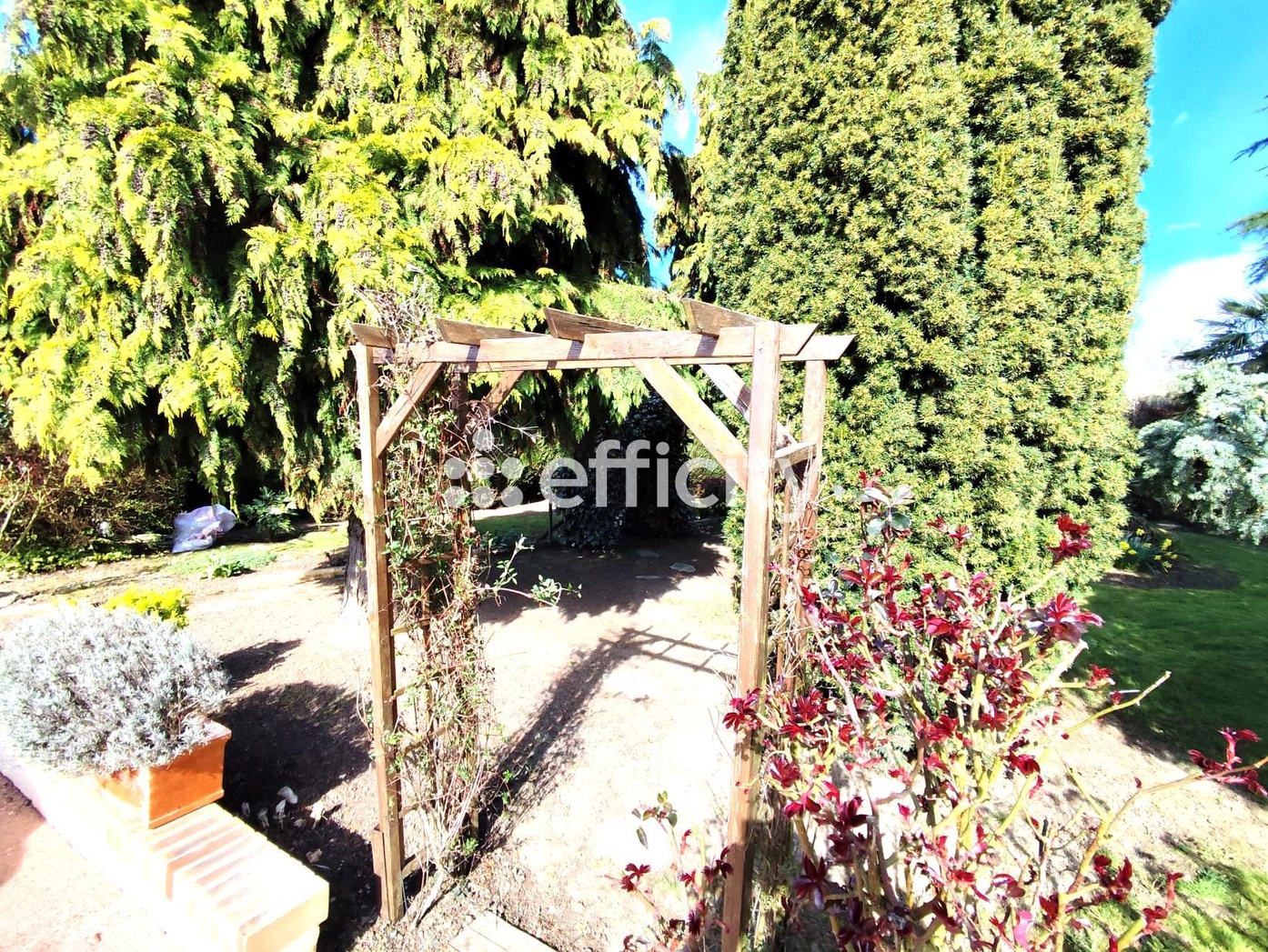 Achat immobilier Maison 6 pièces  146m2 à Bailleau-le-Pin (28120) - Photo n°10