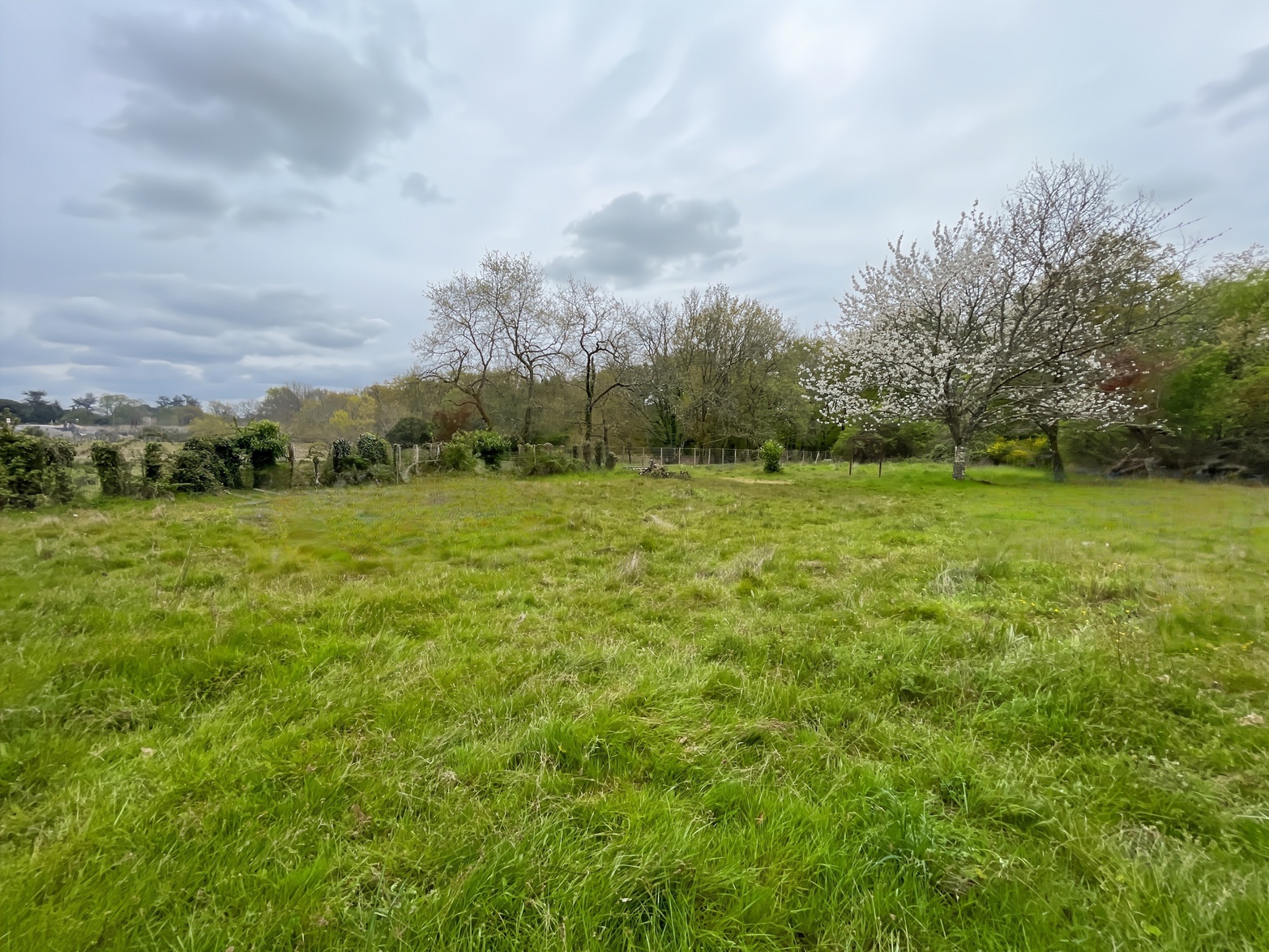 terrain  - 4236m2 à Camblanes-et-Meynac (33360)