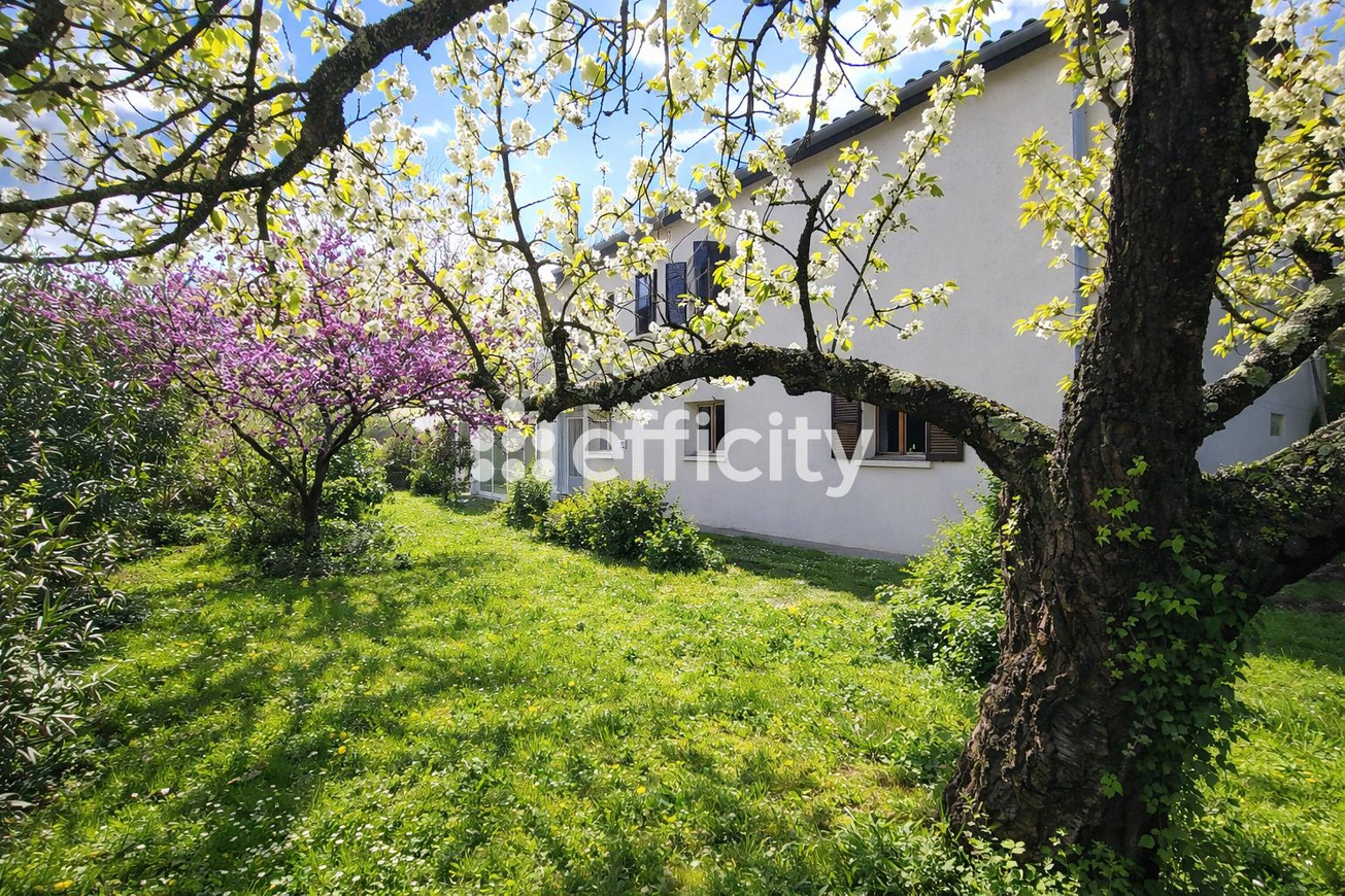 Achat immobilier Maison 10 pièces  200m2 à Toulouse (31500) - Photo n°9