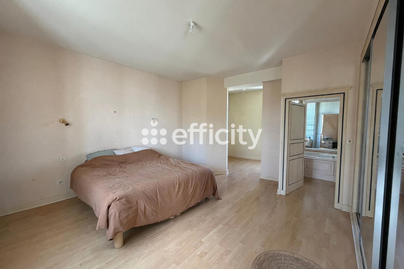 Achat immobilier Maison 7 pièces  220m2 à Louvigné-de-Bais (35680) - Photo n°8