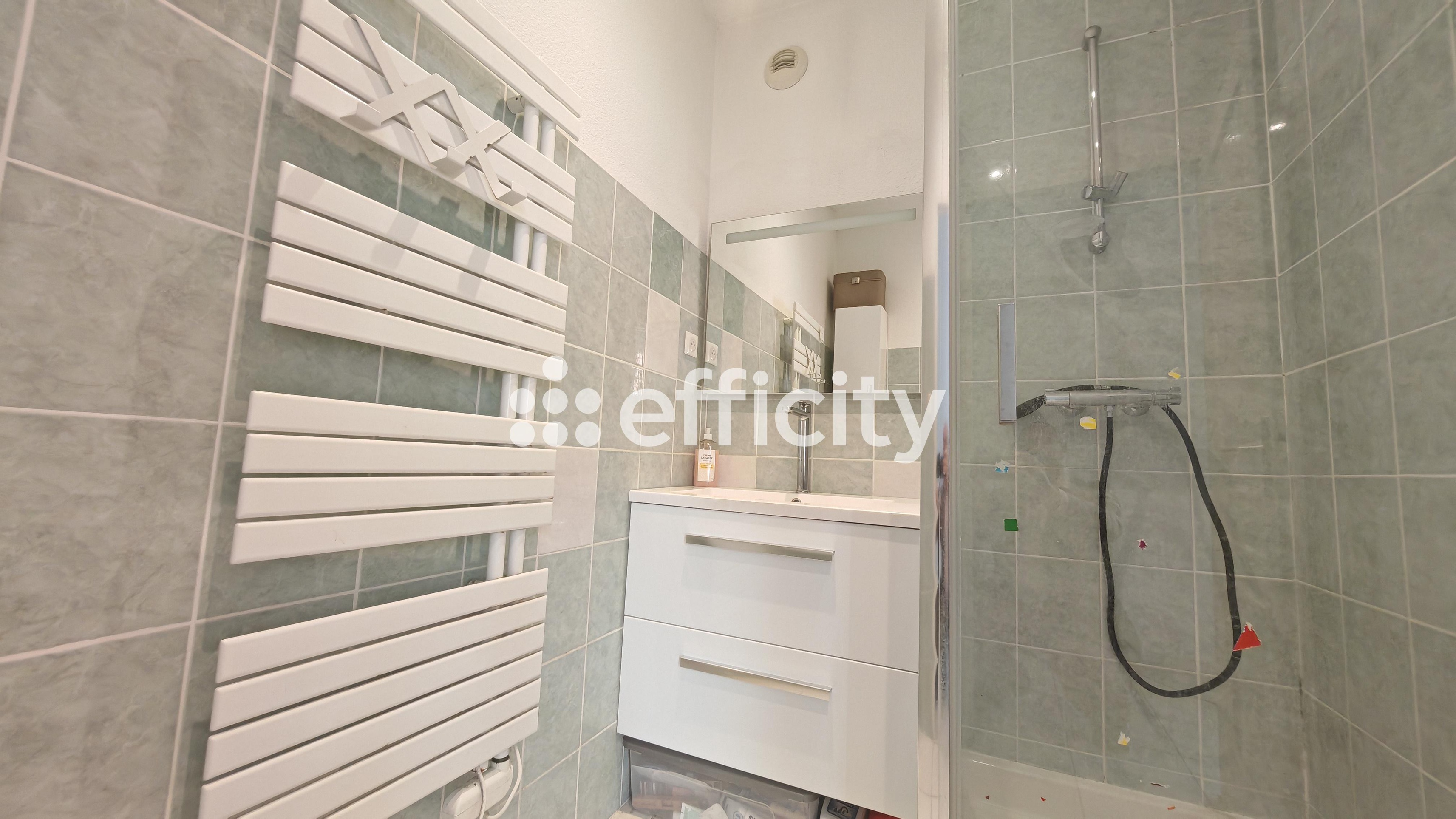Achat immobilier Appartement 3 pièces  76m2 à Tullins (38210) - Photo n°6