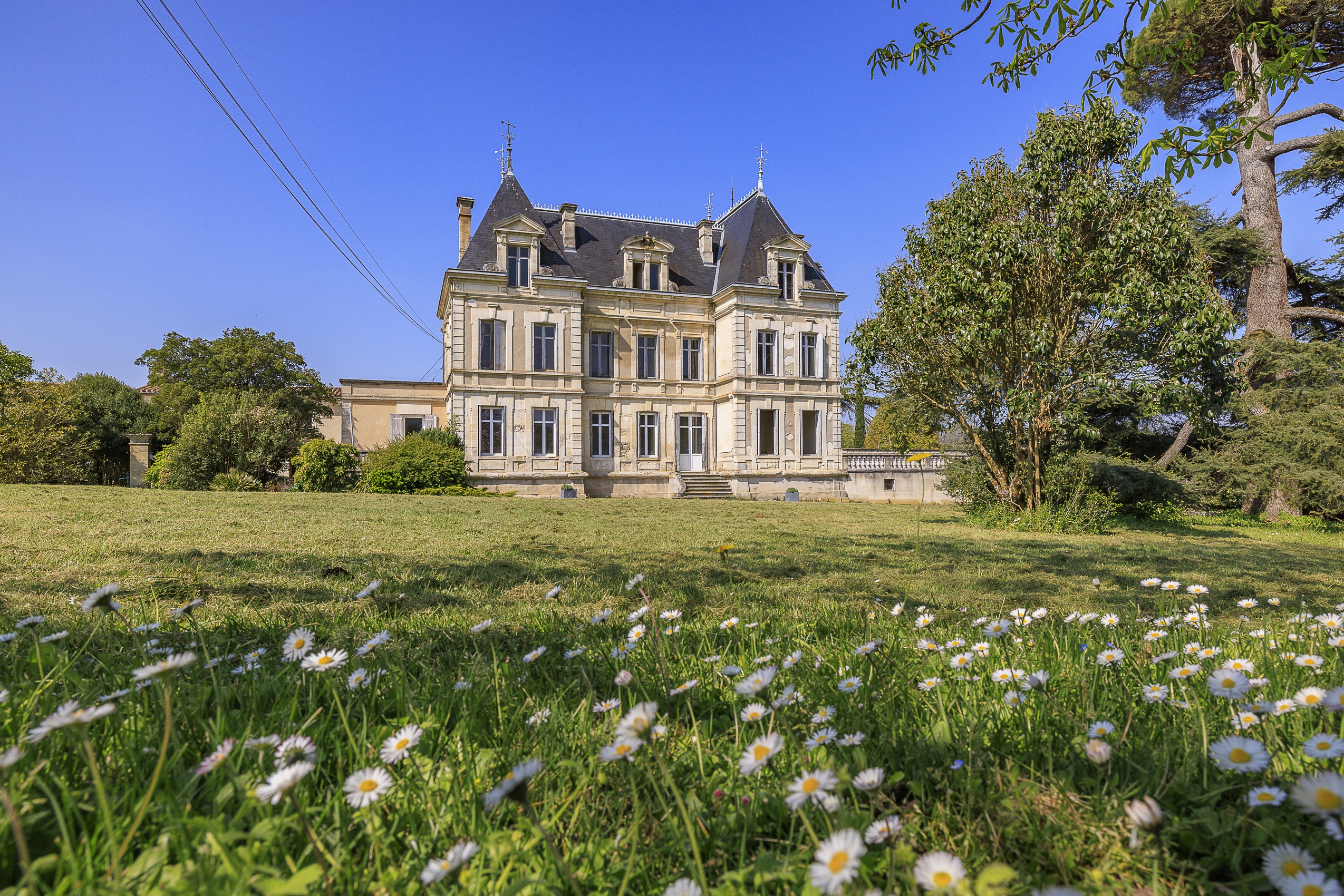 Achat immobilier Maison 27 pièces  670m2 à Fronsac (33126) - Photo n°1