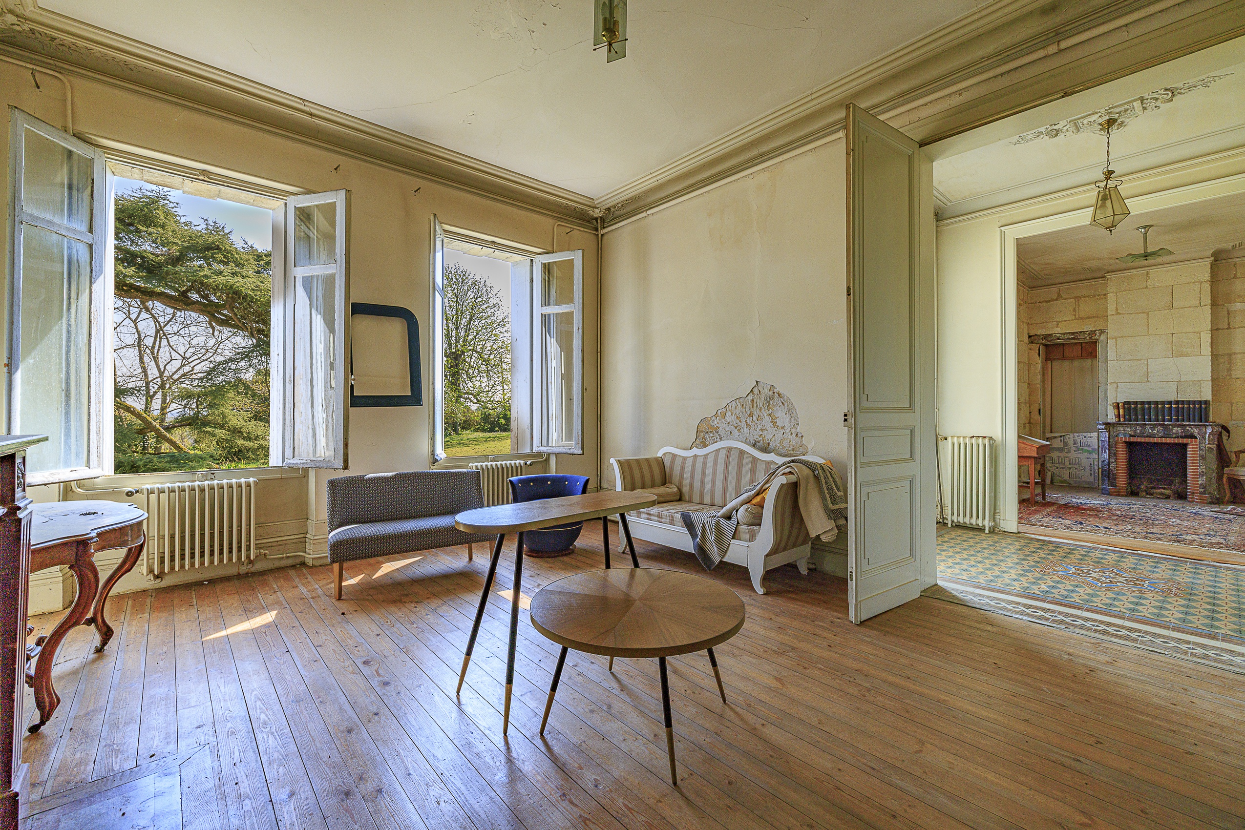 Achat immobilier Maison 27 pièces  670m2 à Fronsac (33126) - Photo n°4