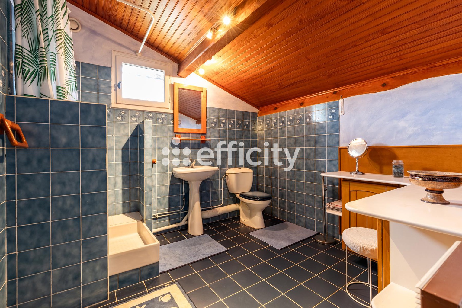 Achat immobilier Maison 6 pièces  155m2 à Salles (33770) - Photo n°9