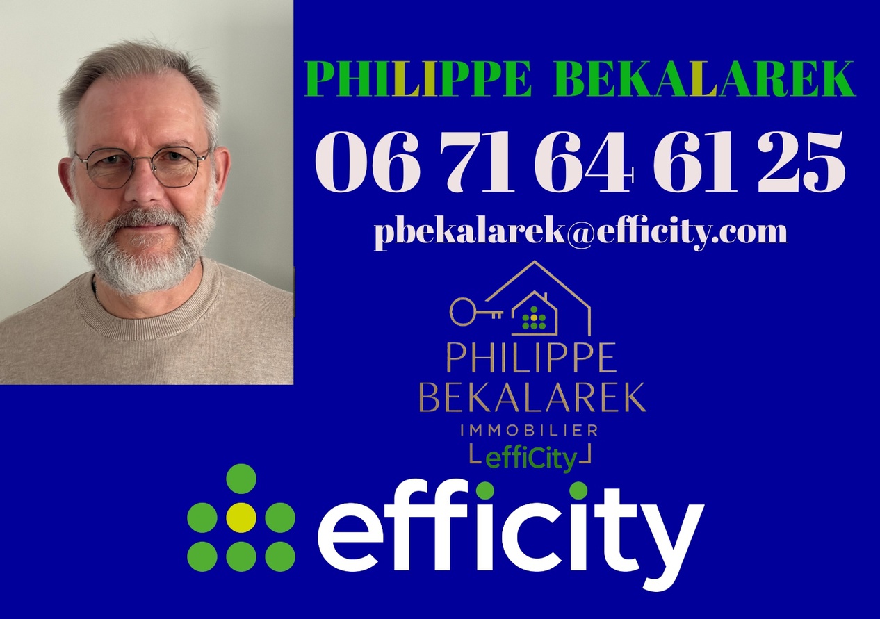 Achat immobilier Appartement 5 pièces  133m2 à Digne-les-Bains (04000) - Photo n°11